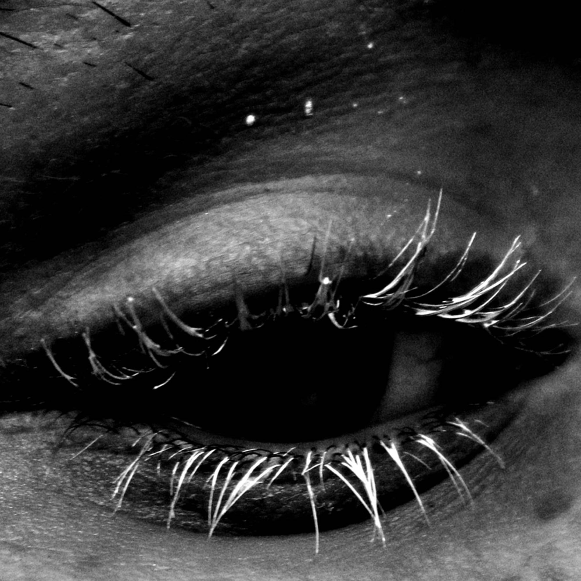 Photographic Series - Black and White Digital Photograph