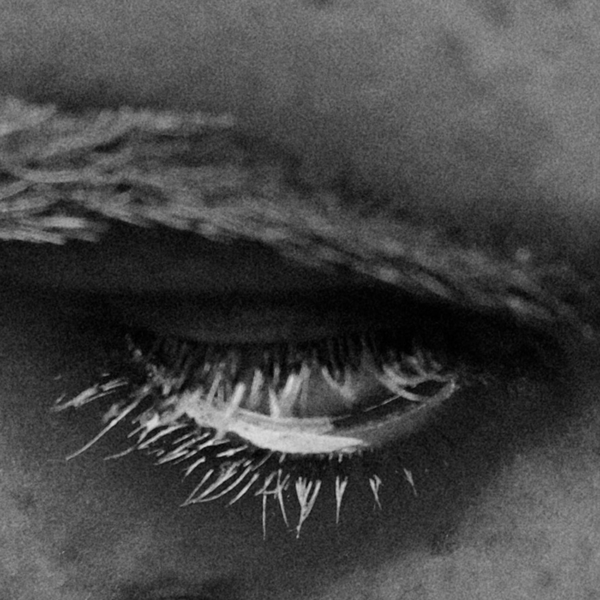 Photographic Series - Black and White Digital Photograph