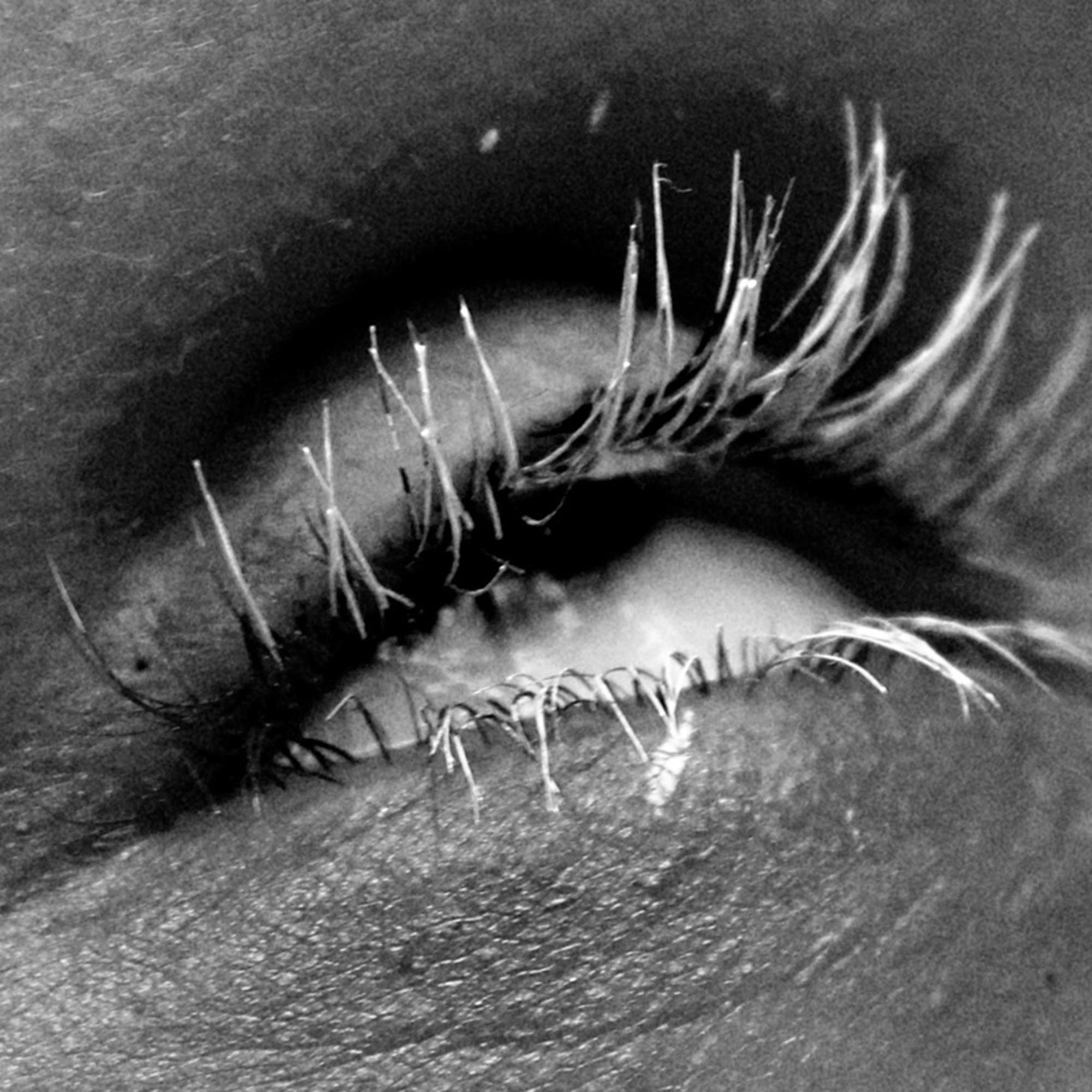 Photographic Series - Black and White Digital Photograph