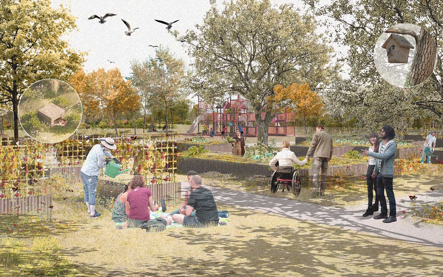 Activities that happen in the eco-agro park