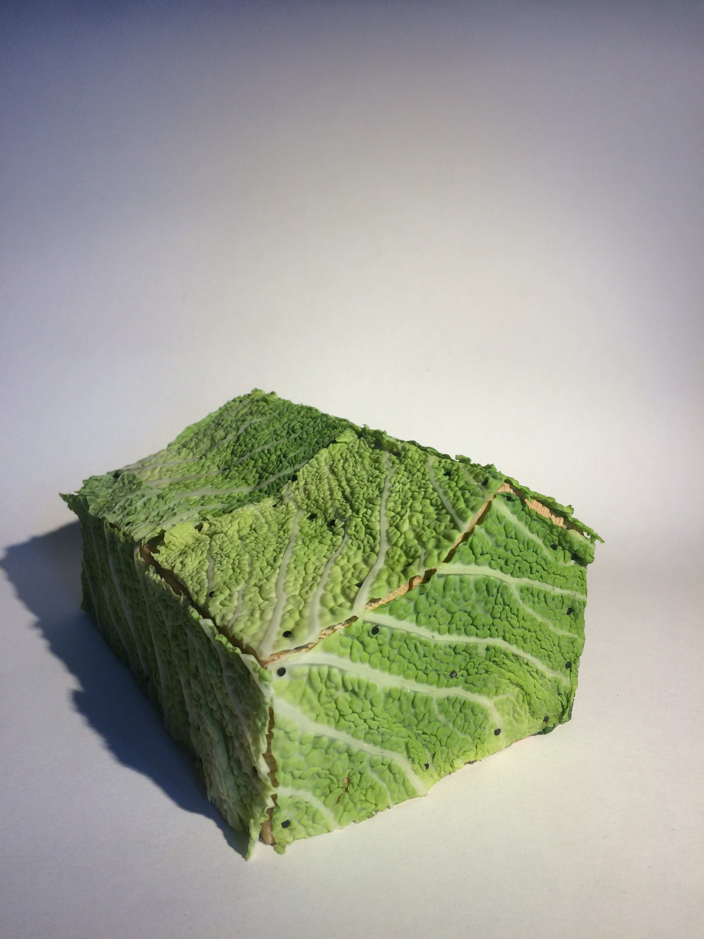 A freshly cabbaged house.