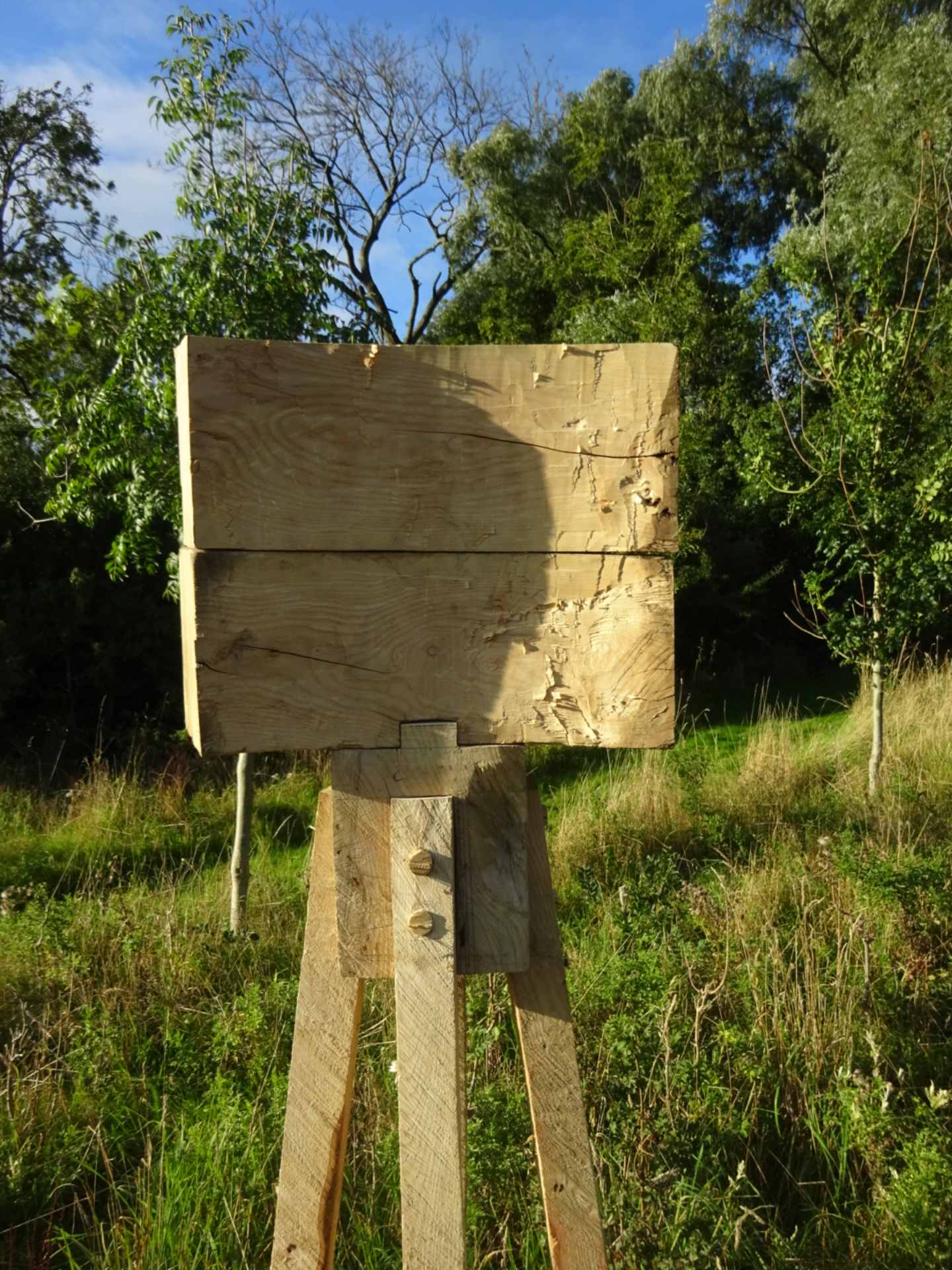 A tall wooden sculpture stood in a green field.