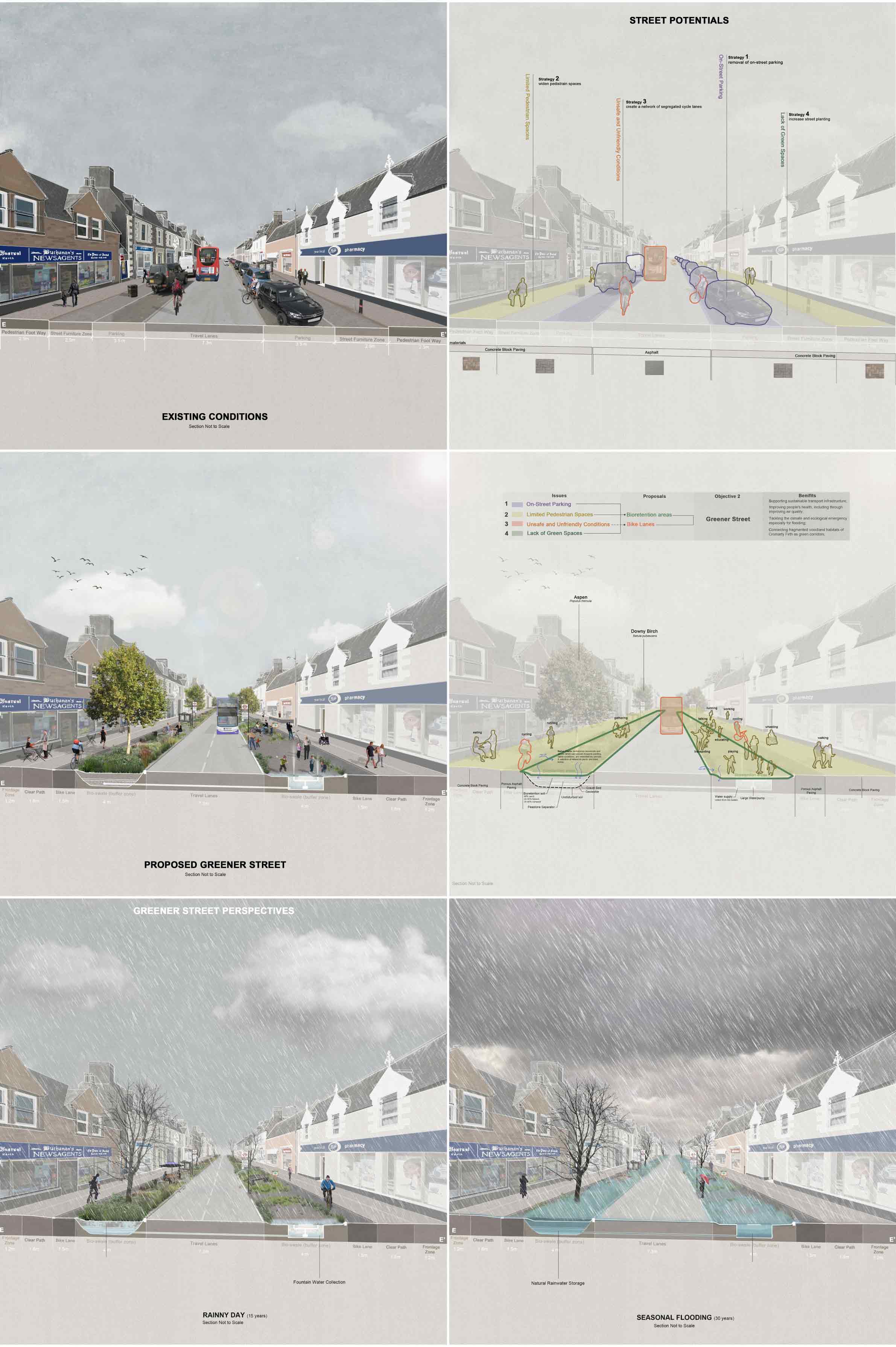 This is the section of the Greener Street to show the landscape dynamic systems
