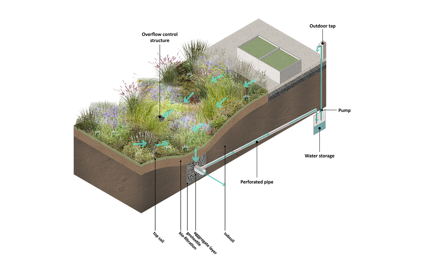 Bio-swale