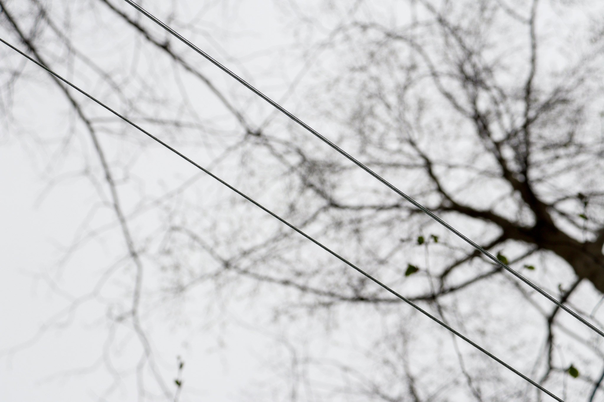 View of two lines of yarn from below, looking up to the sky. 