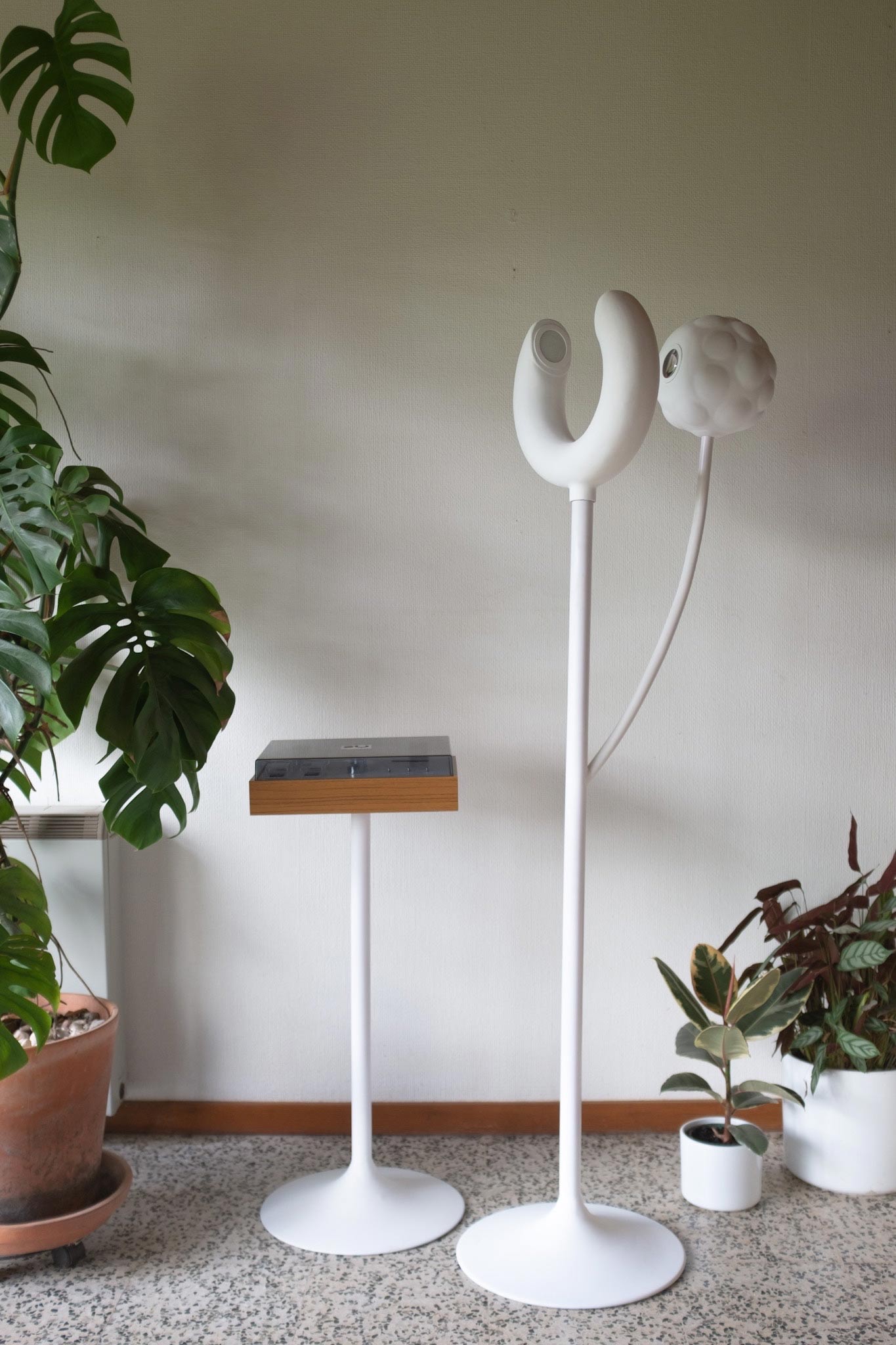 Harvey Everson, Momento Mori