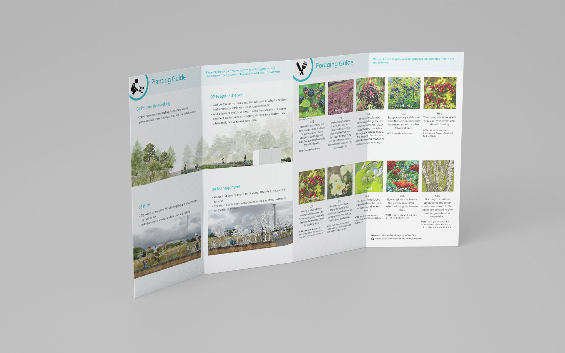 Activities guide for community members