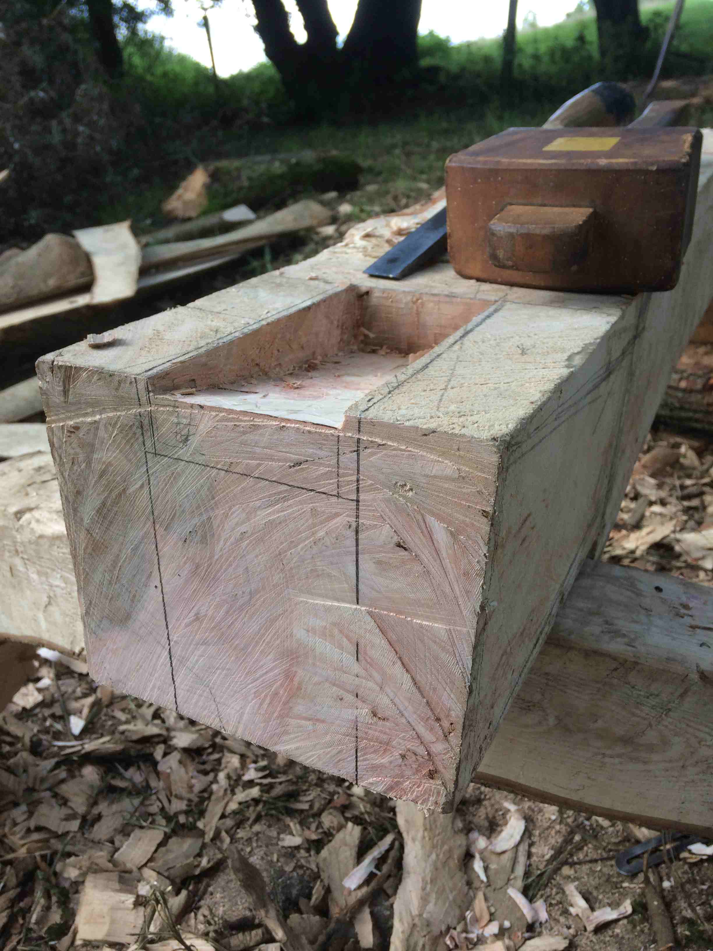 A large concave wooden square atop 4 legs stood in a tree lined feild.