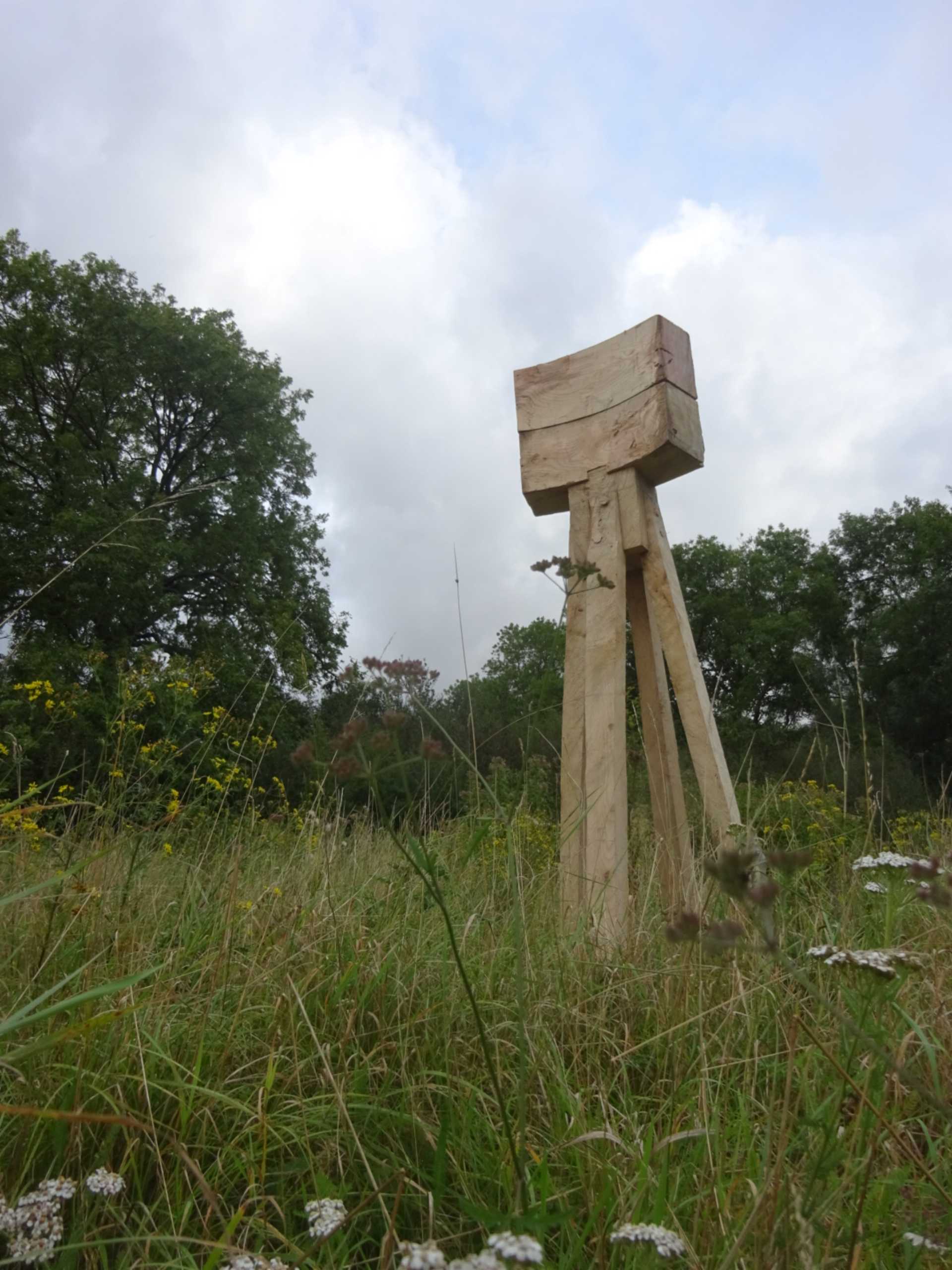 A large concave wooden square atop 4 legs stood in a tree lined field.
