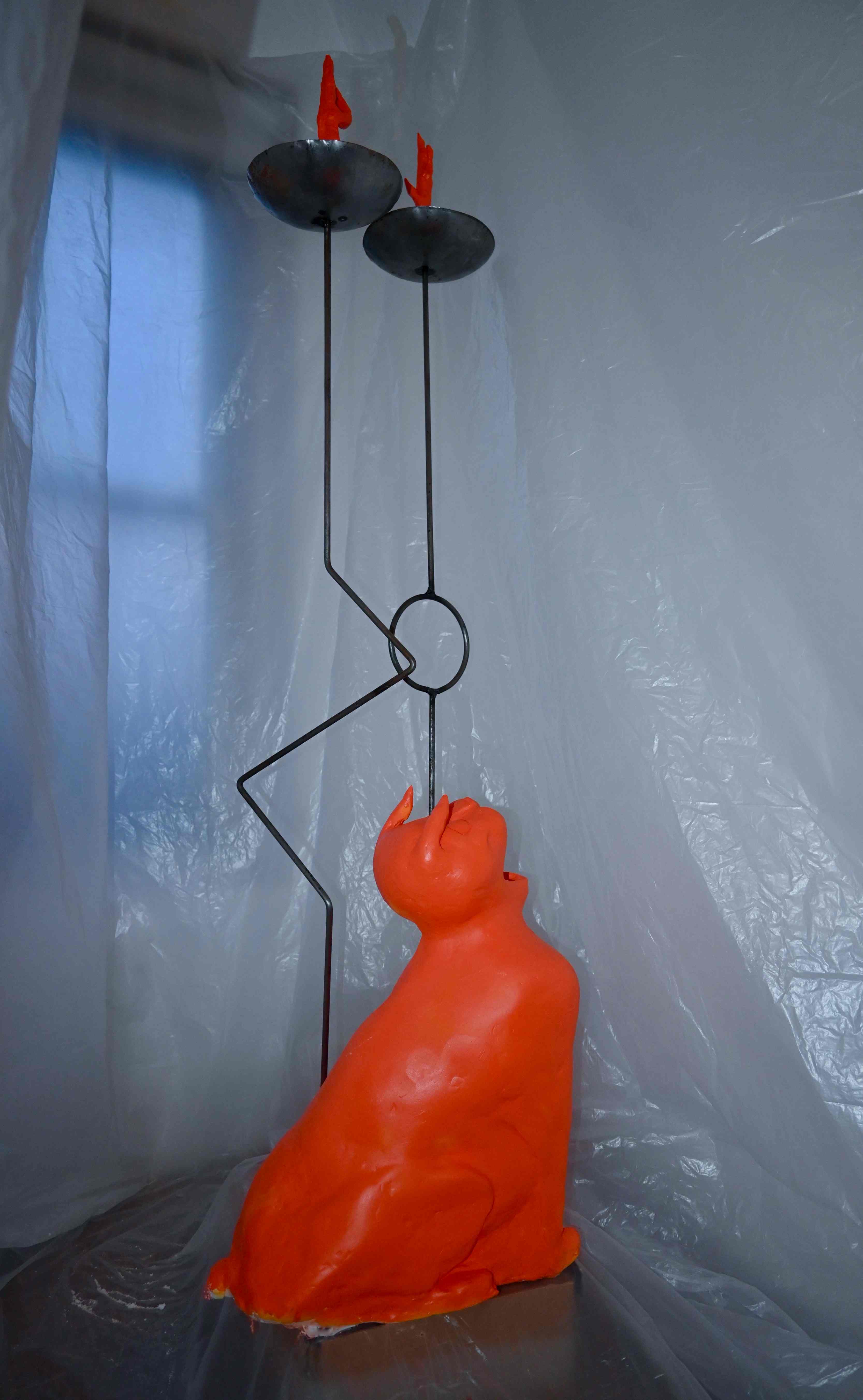 Cat and Fencing Foils in front of a dust sheet