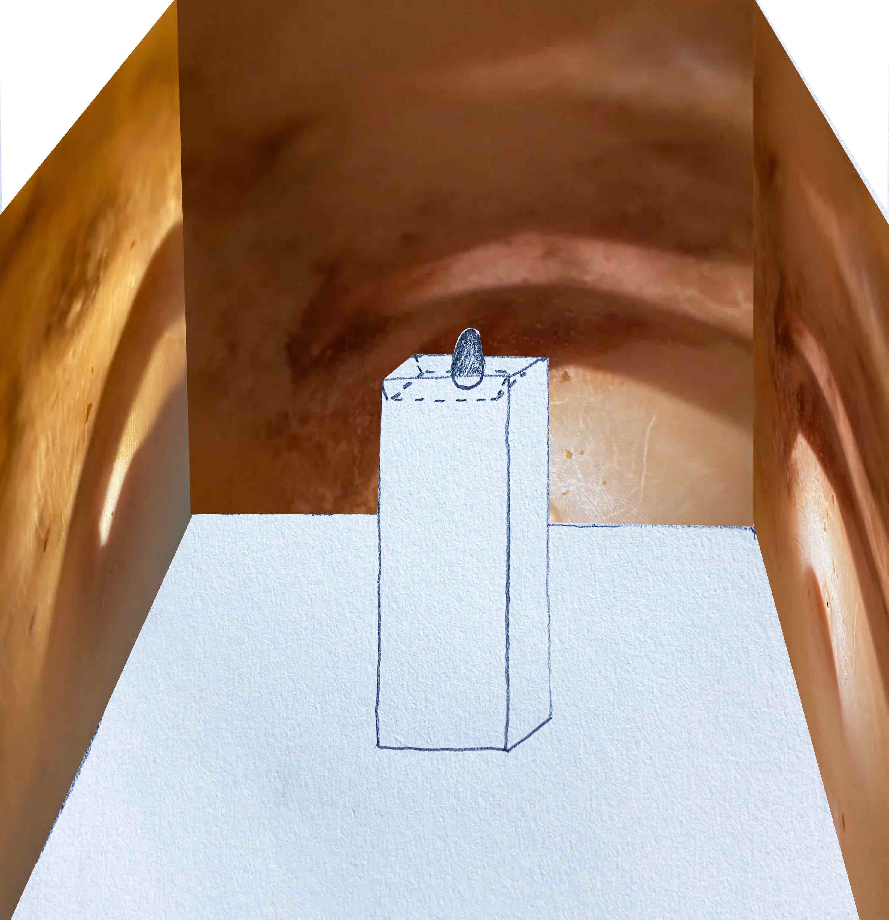 Proposal for an installation of Illuminated Rotten Goose Egg: Full Bleed Digital Prints of Borescope Photographs taken inside Blown Rotten Goose Eggs