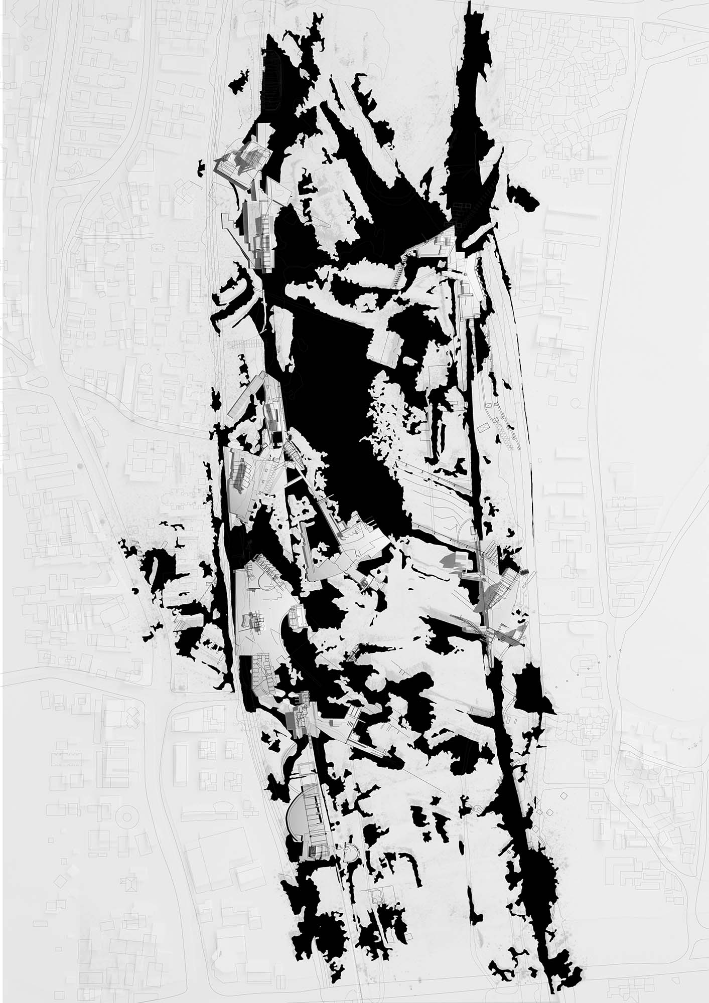 Emerging Agencies Plan