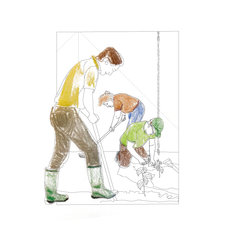 Planting hops: April