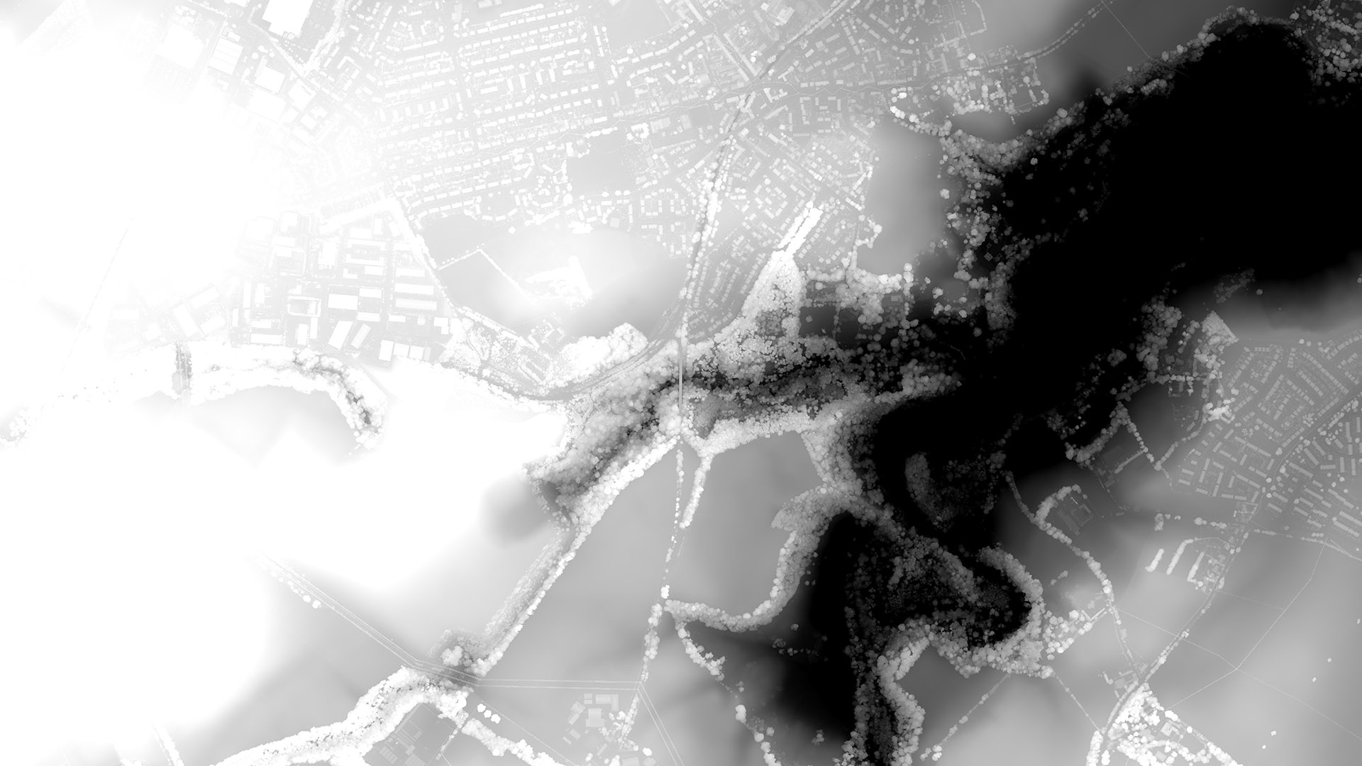 A LIDAR Elevation DSM Map of the Site