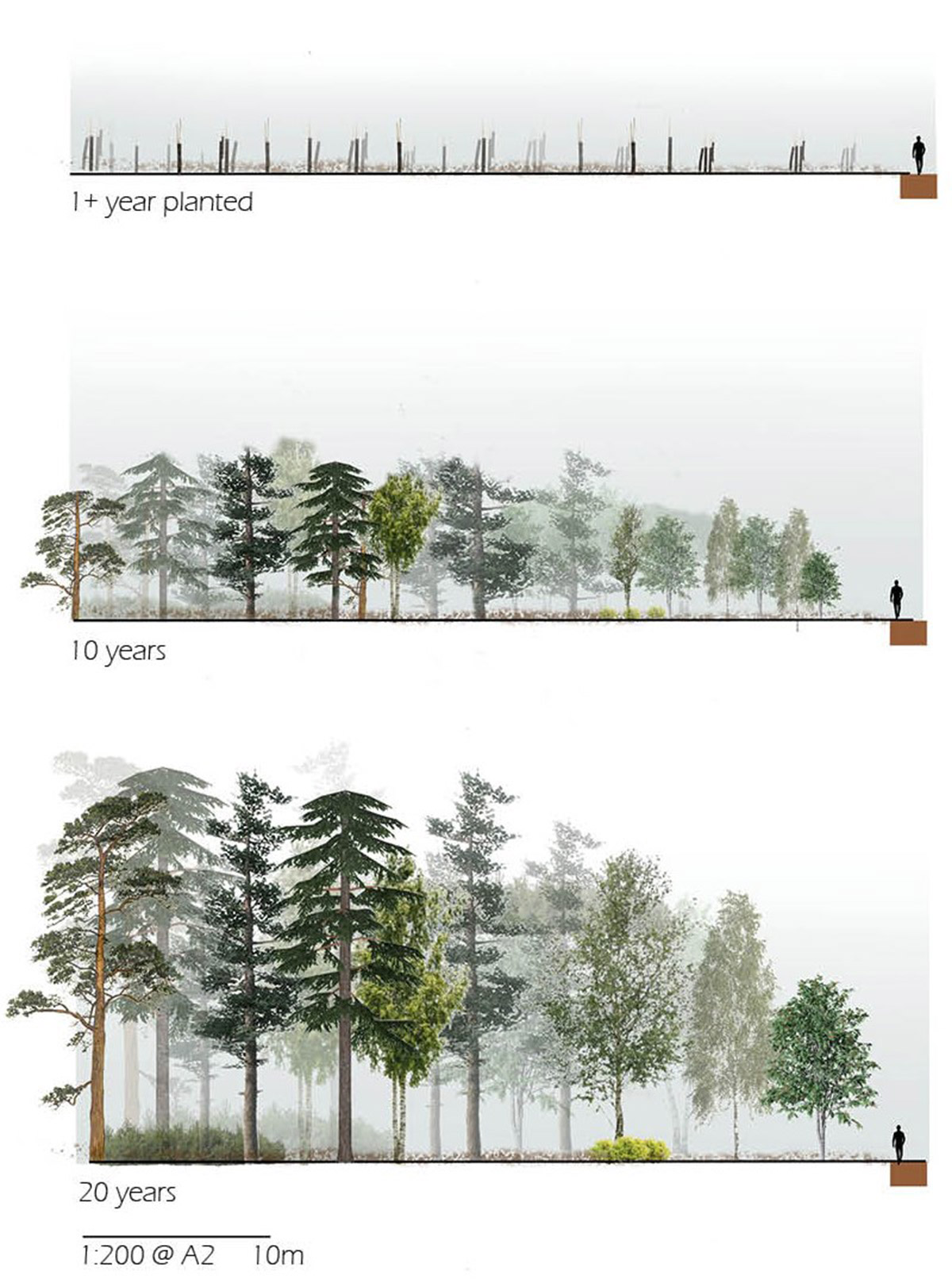 The planting and maturity of the new areas of woodland