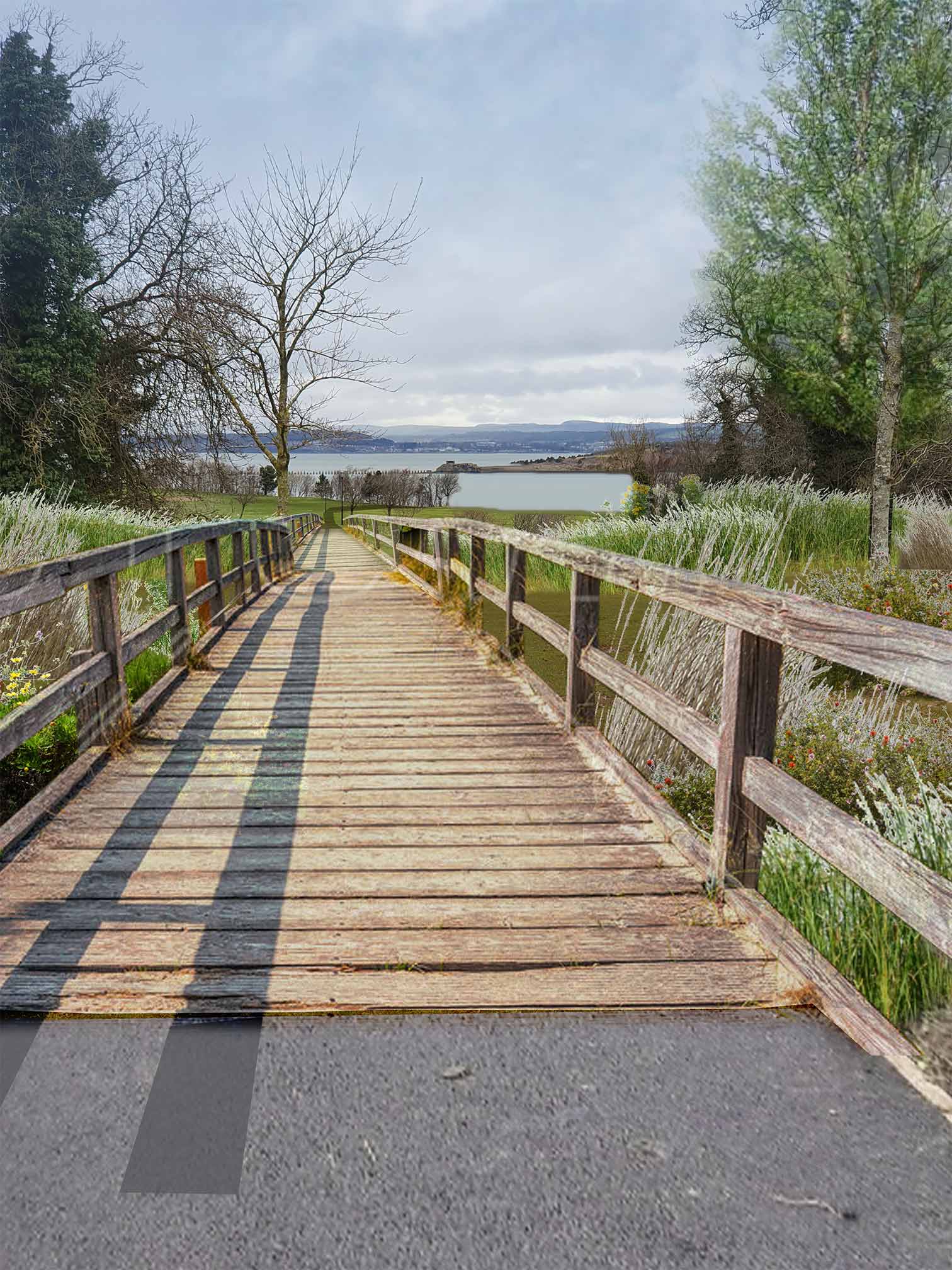 Boardwalks through the 'rewilding' areas of the site