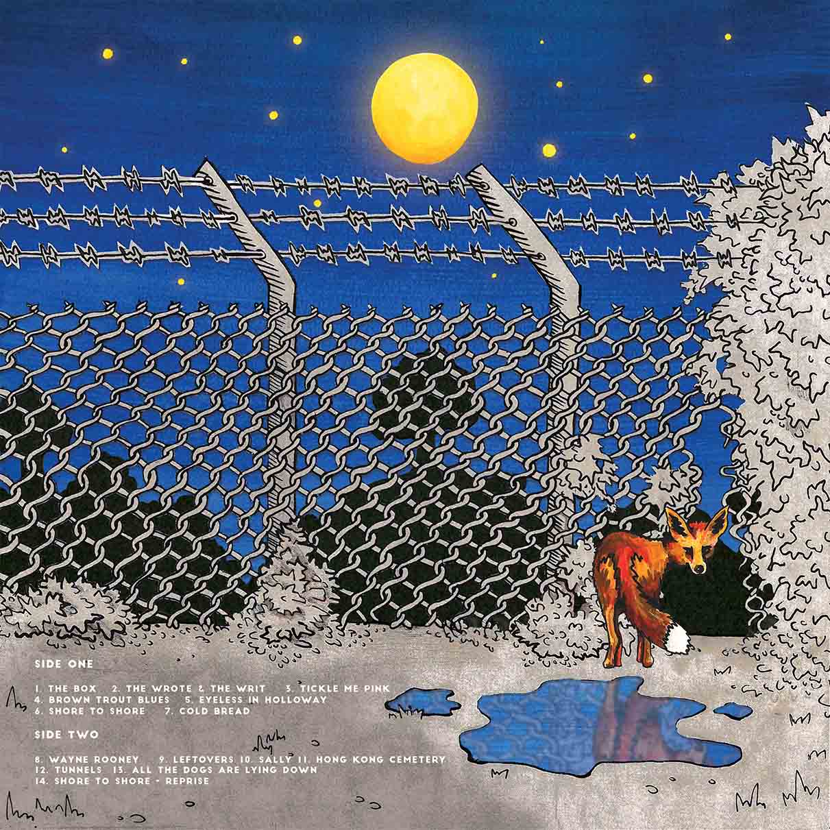 Johnny Flynn Mock Album Artwork - Back