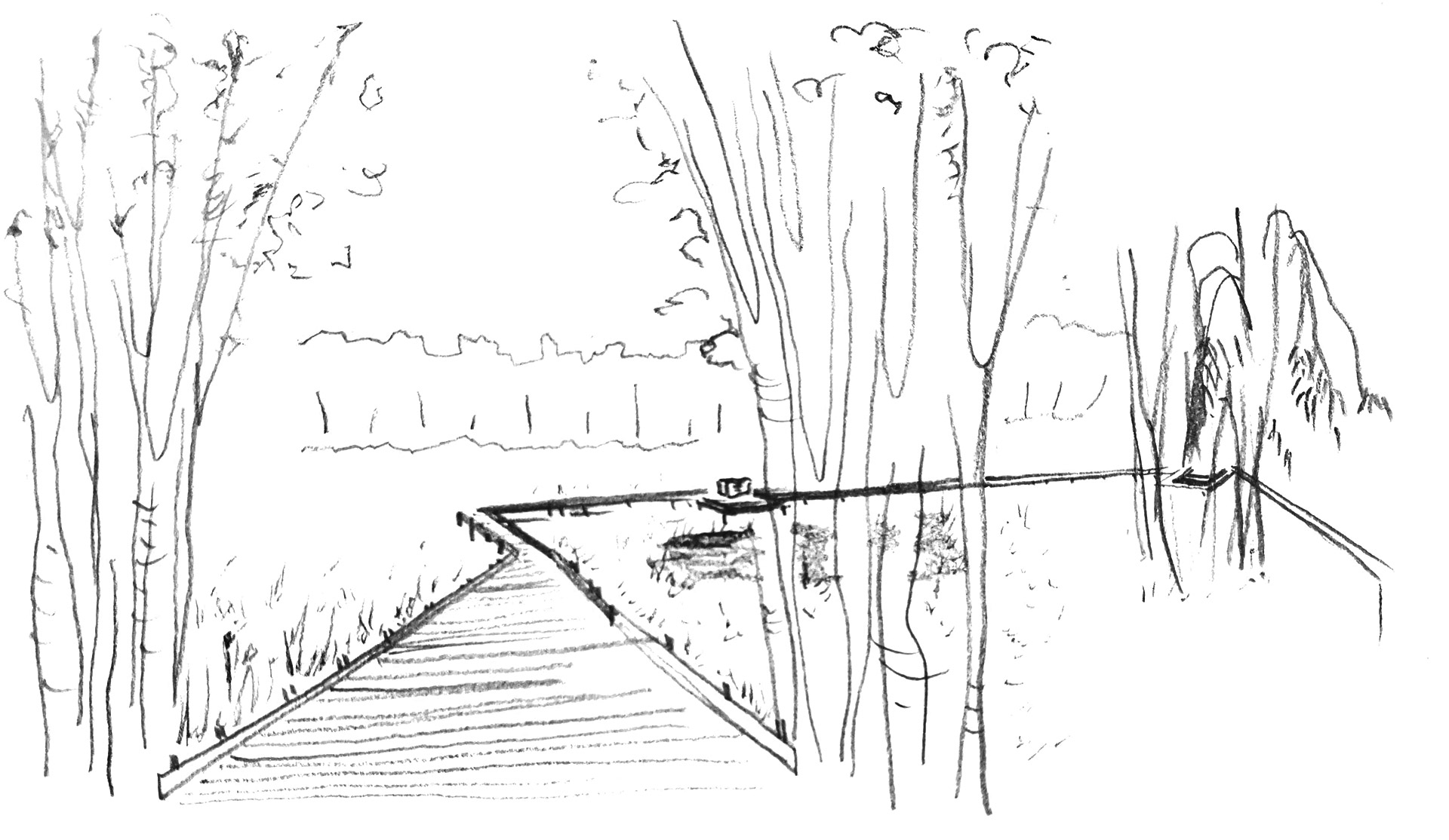Pencil sketch of the wetland area
