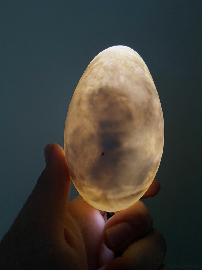 Photograph of Illuminated Blown Rotten Goose Egg
