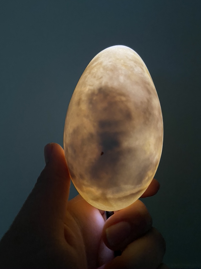 Photograph of Illuminated Blown Rotten Goose Egg