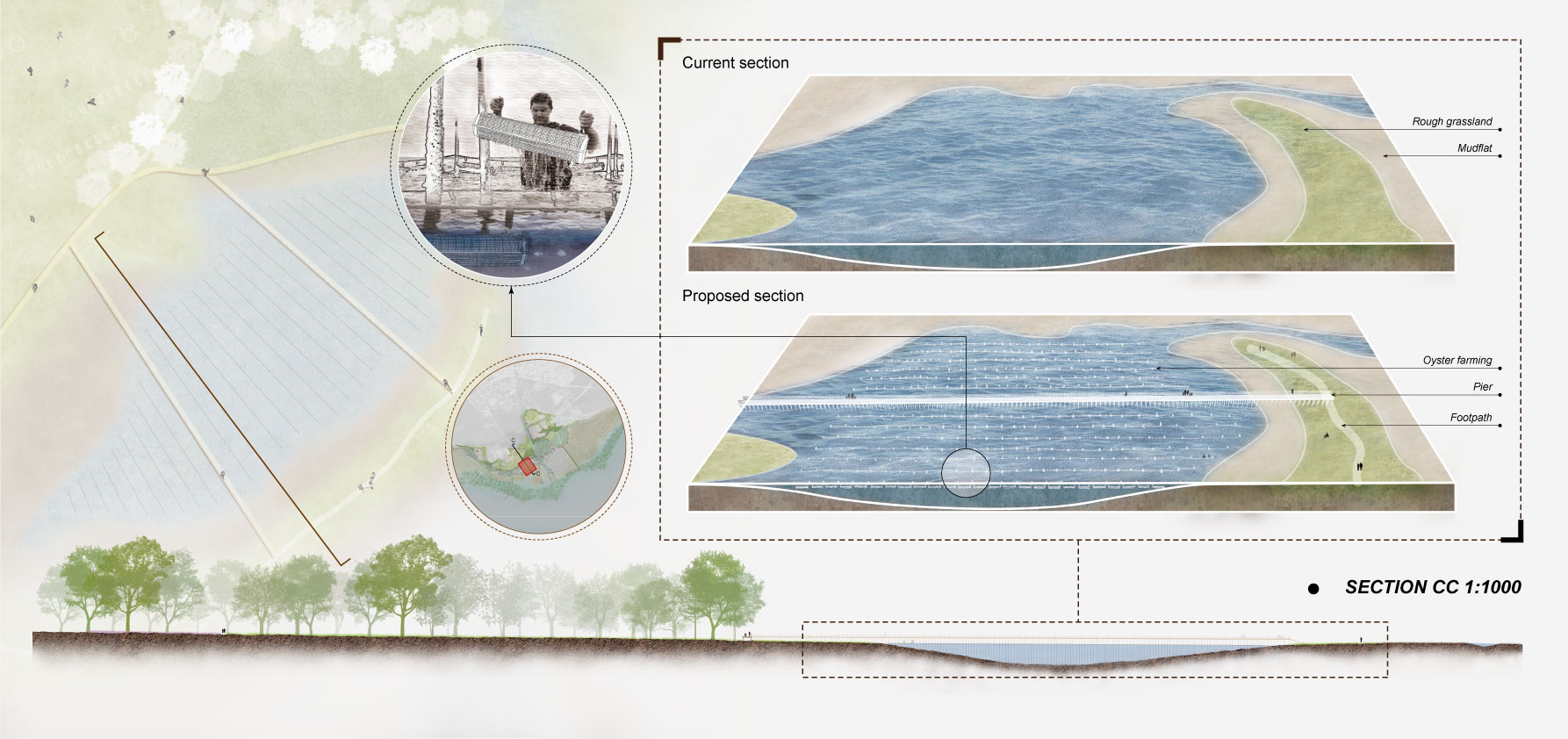 Cage Culture Oyster Production