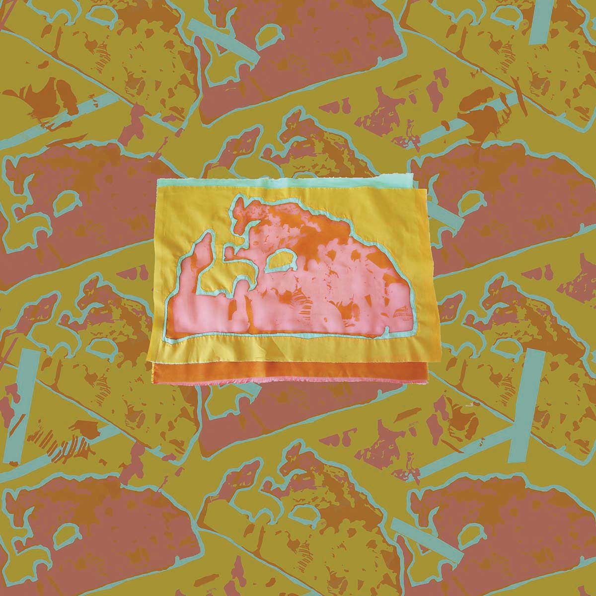 Machuca Mola and Camouflage
