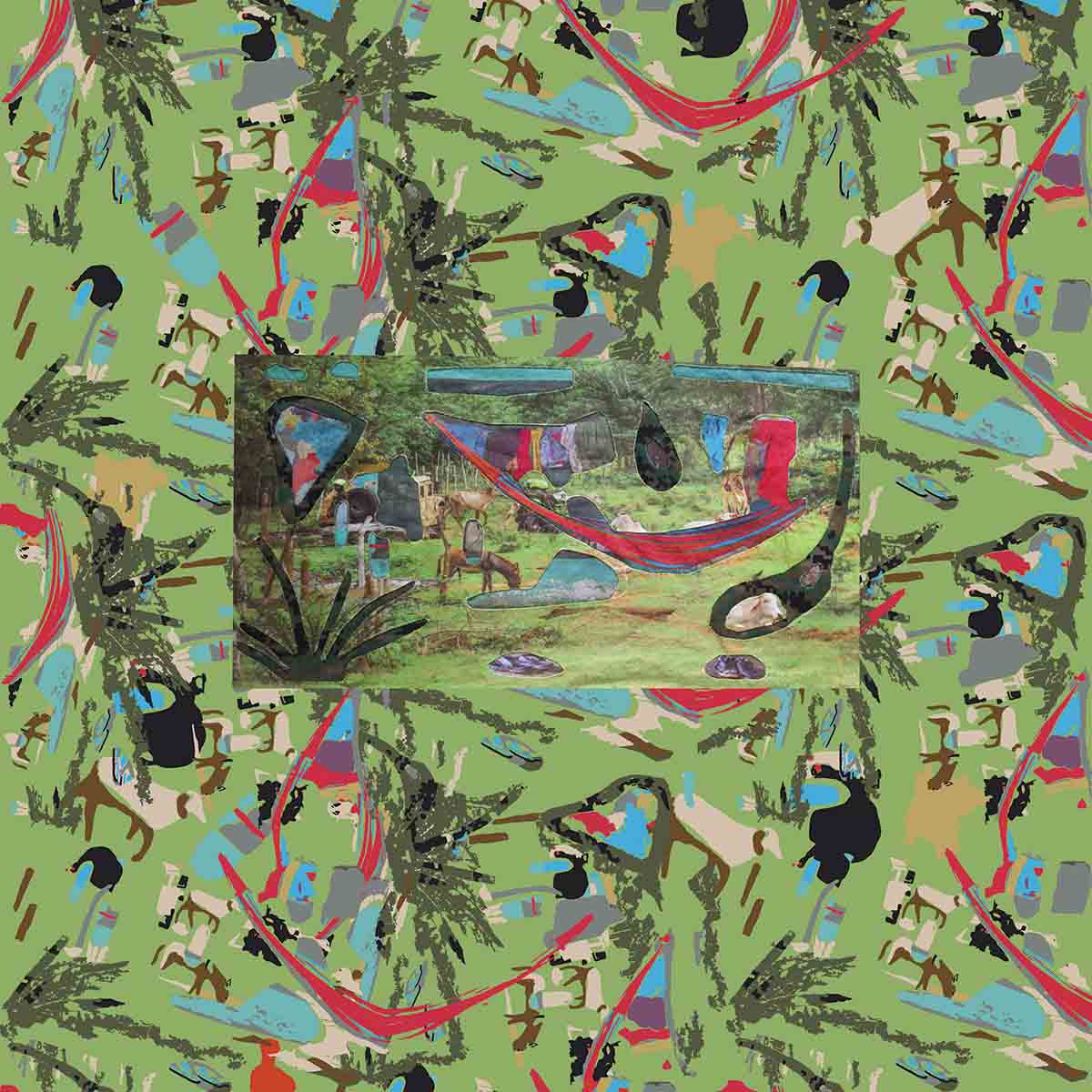 Montes de Maria Mola and Camouflage