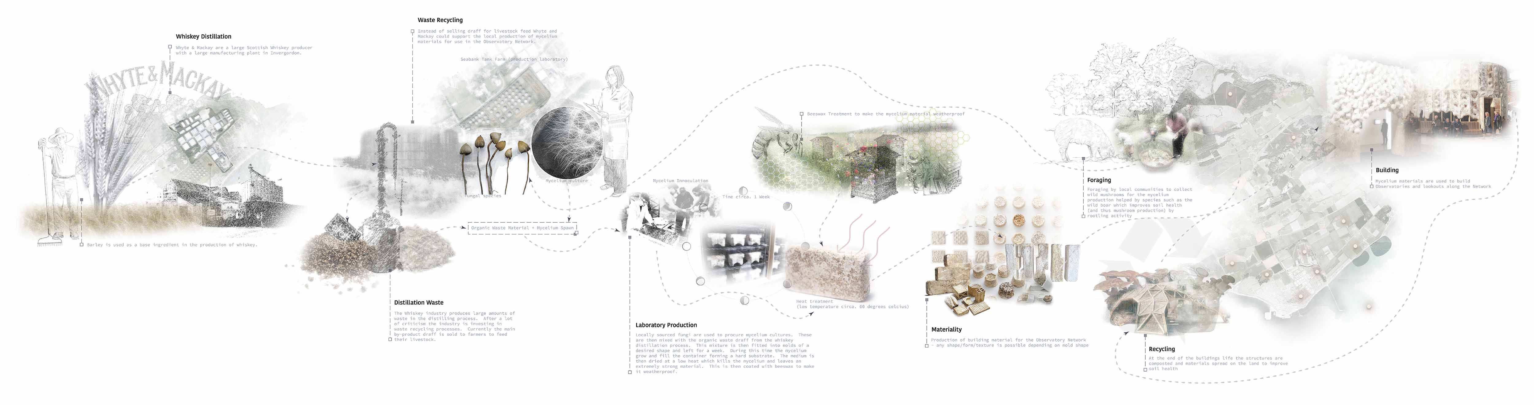 Mycelium as a building material in the Intelligent Wilderness