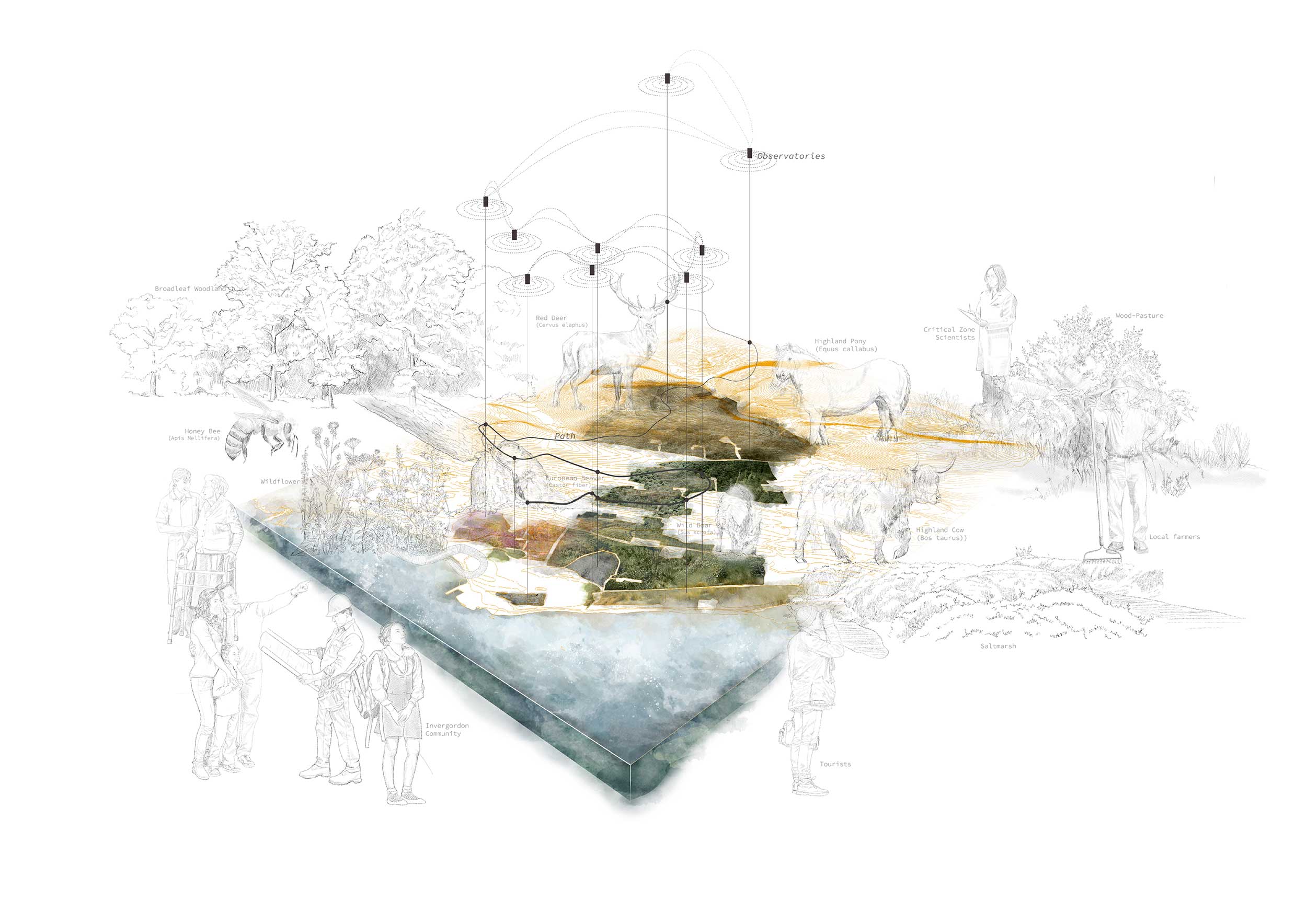 Project Synthesis Drawing of the Intelligent Wilderness 