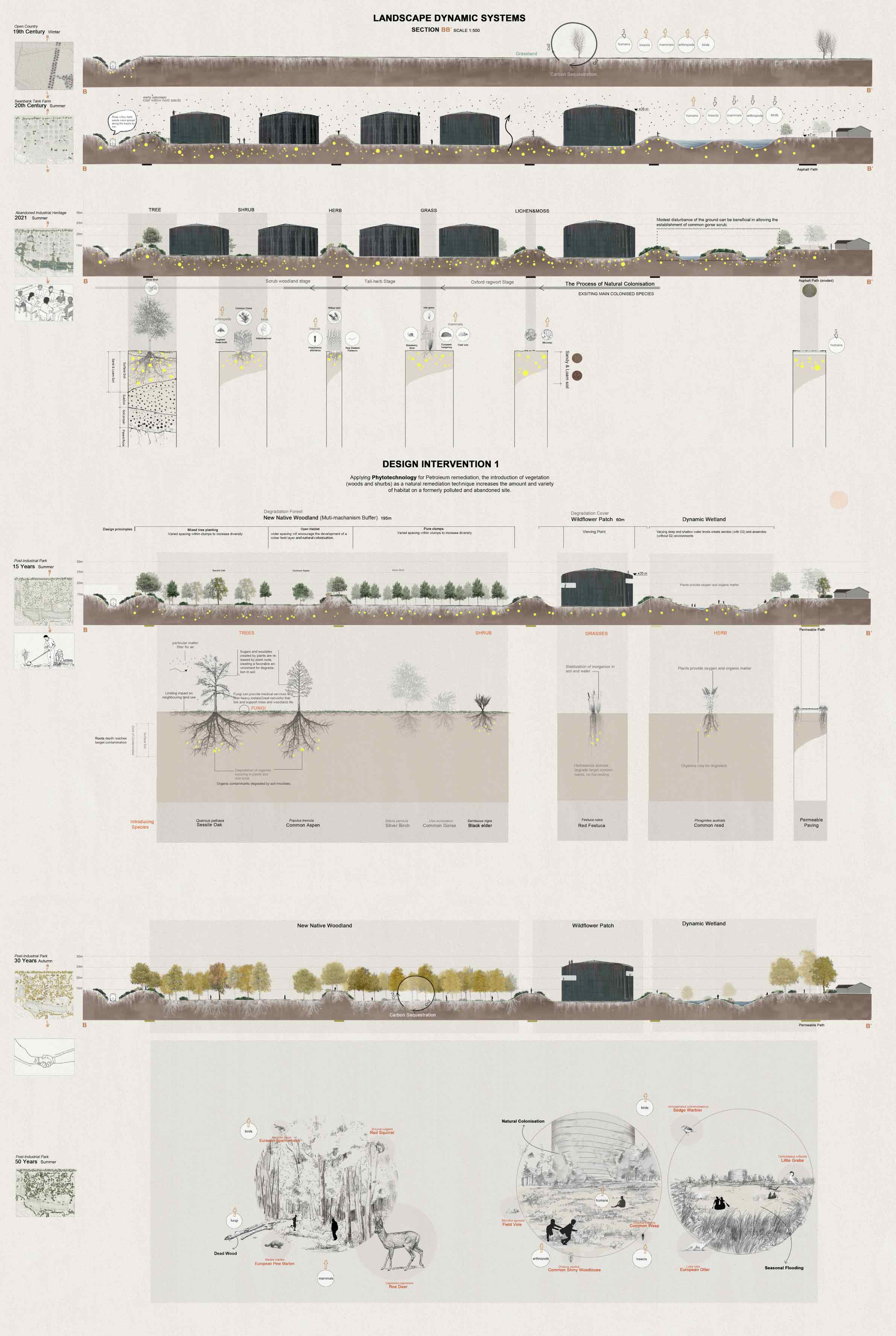 This is the section of the Seabank Tank Farm to show the landscape dynamic systems