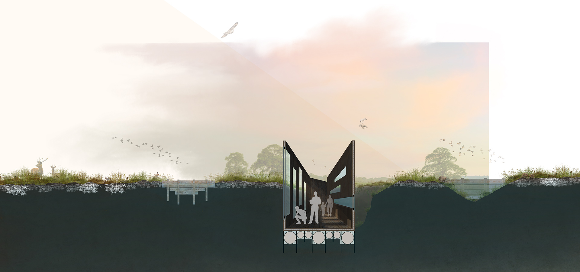 Carbon Lore: Floating peatland walkway