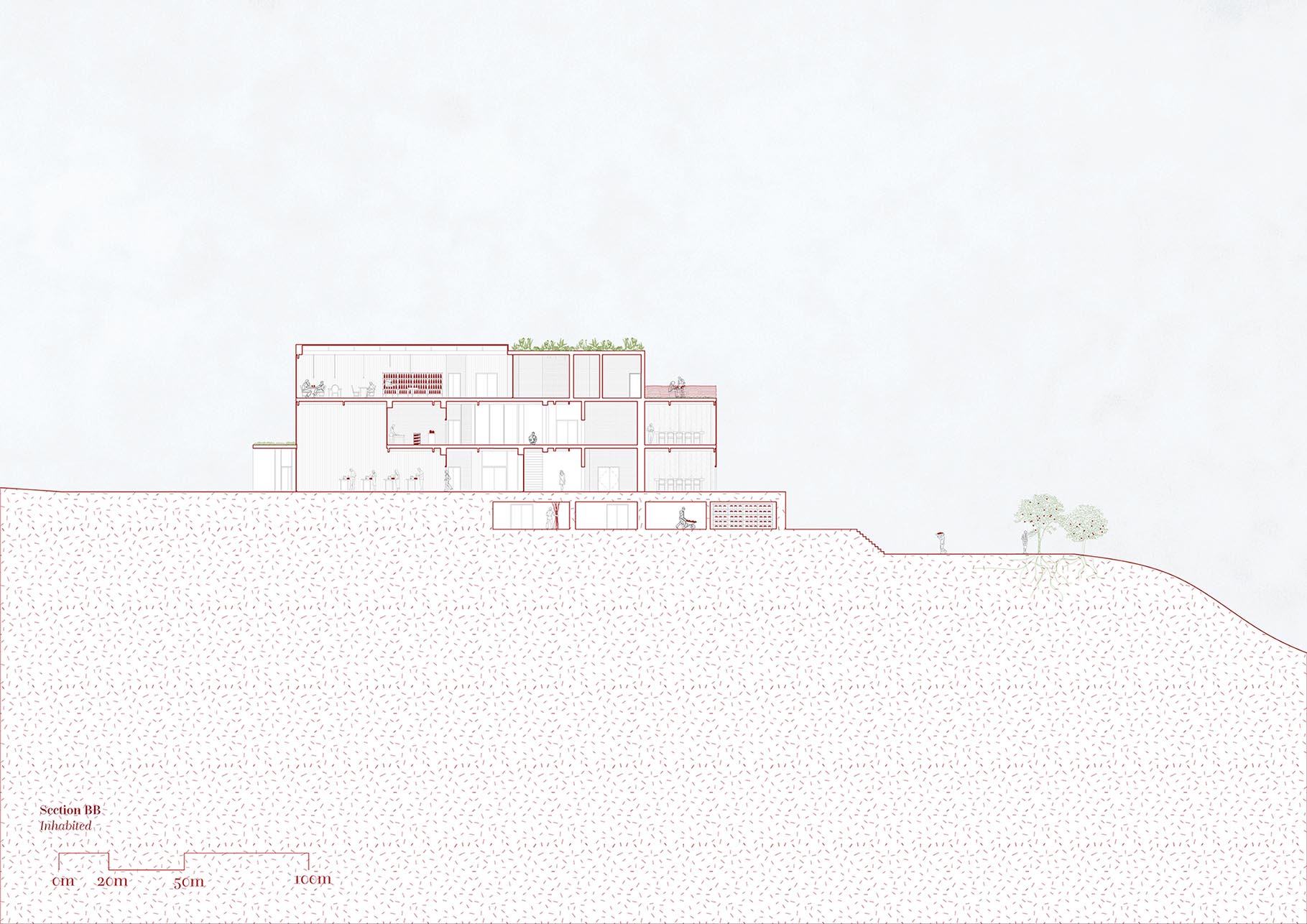 The Movement of Apples Section