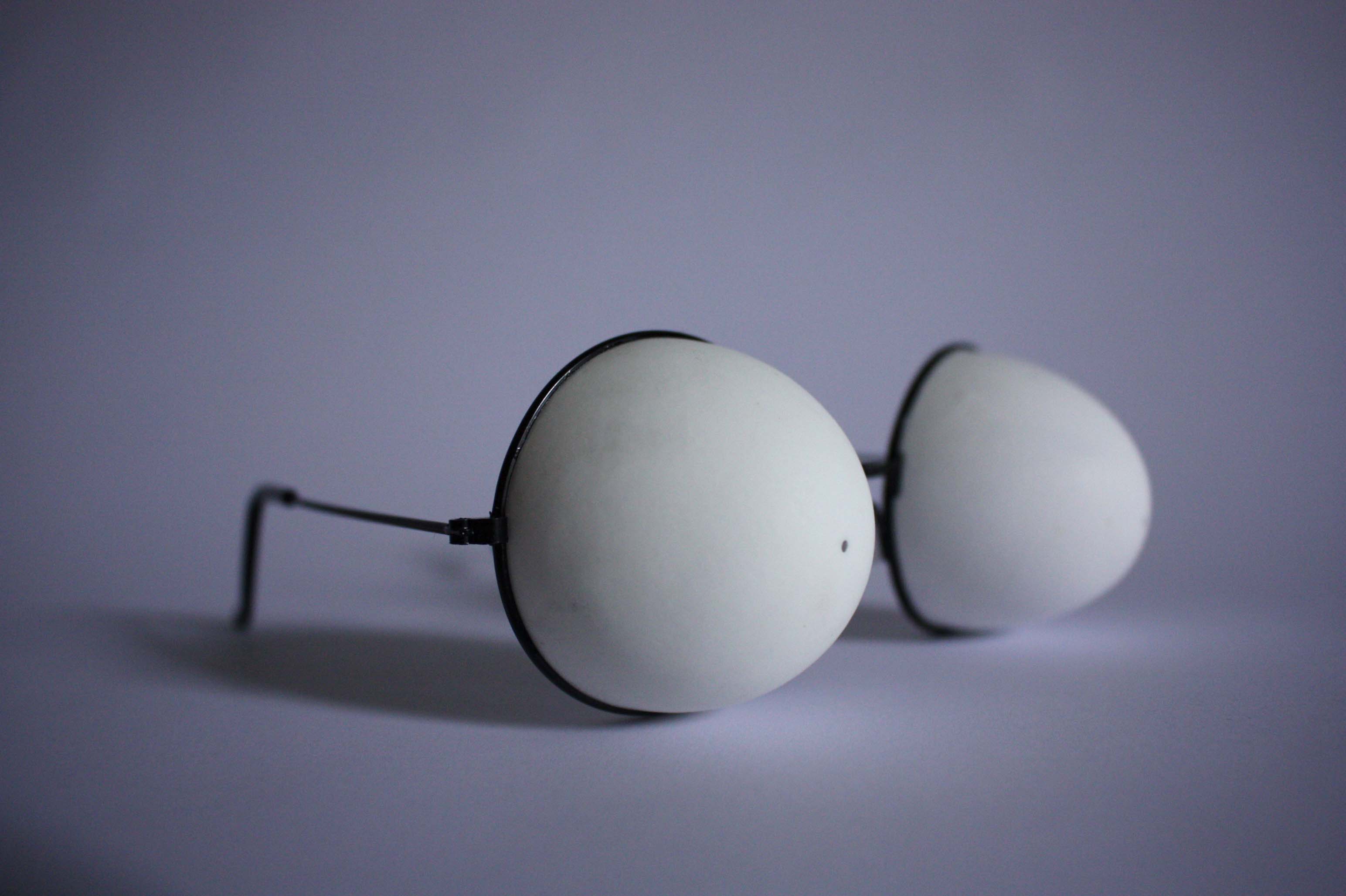 Shell Specs: Duck Eggs (Front) and Found Frames