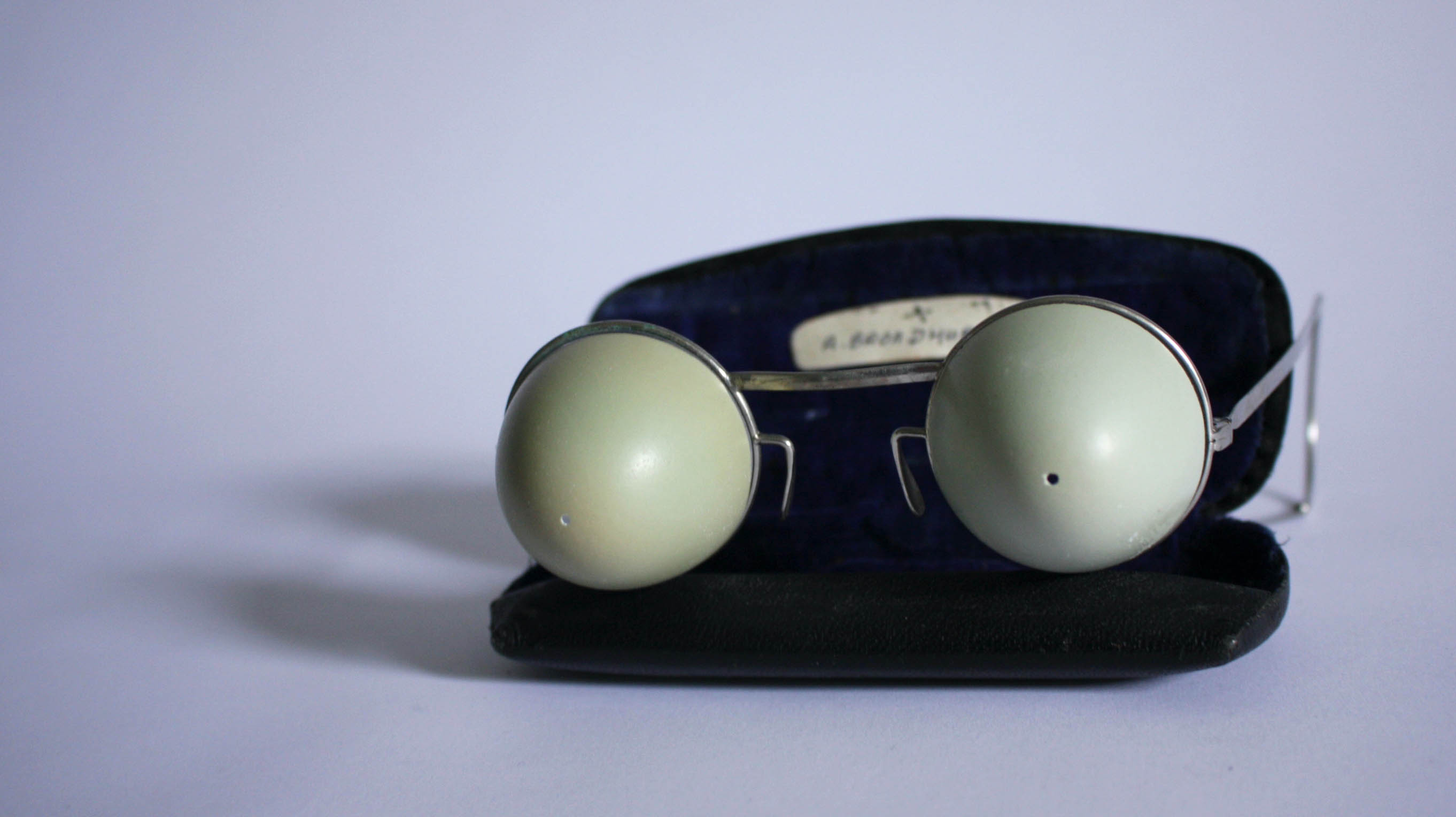 Shell Specs: Pheasant Eggs and Found Antique Frames