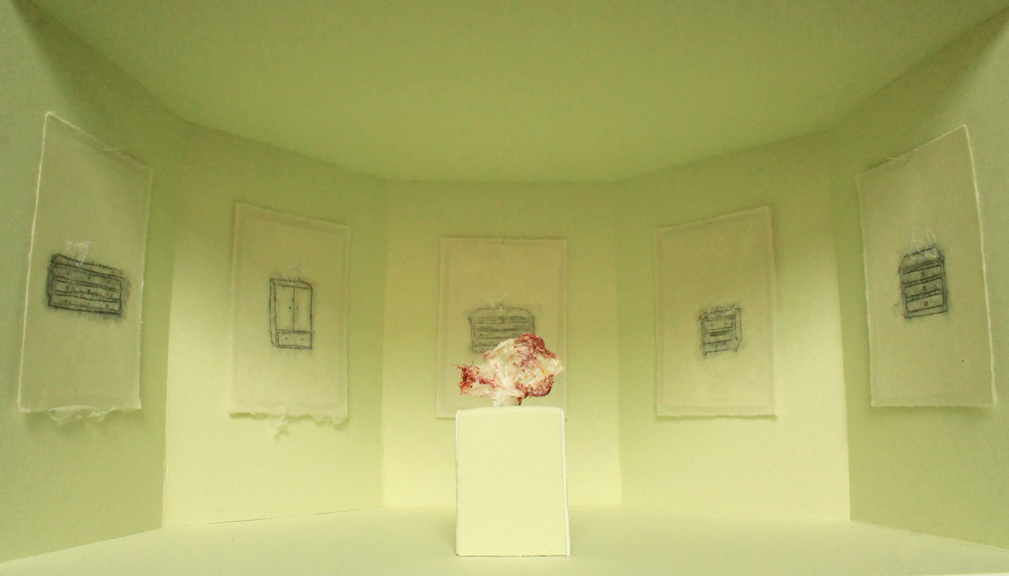 A passion fruit skin is sat on a green plinth, surrounded by drawings on green washi paper installed in a green room. 