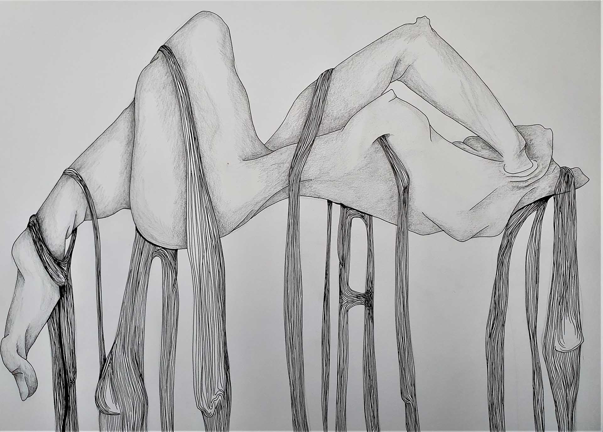 Ink drawing of a bound suspended female body