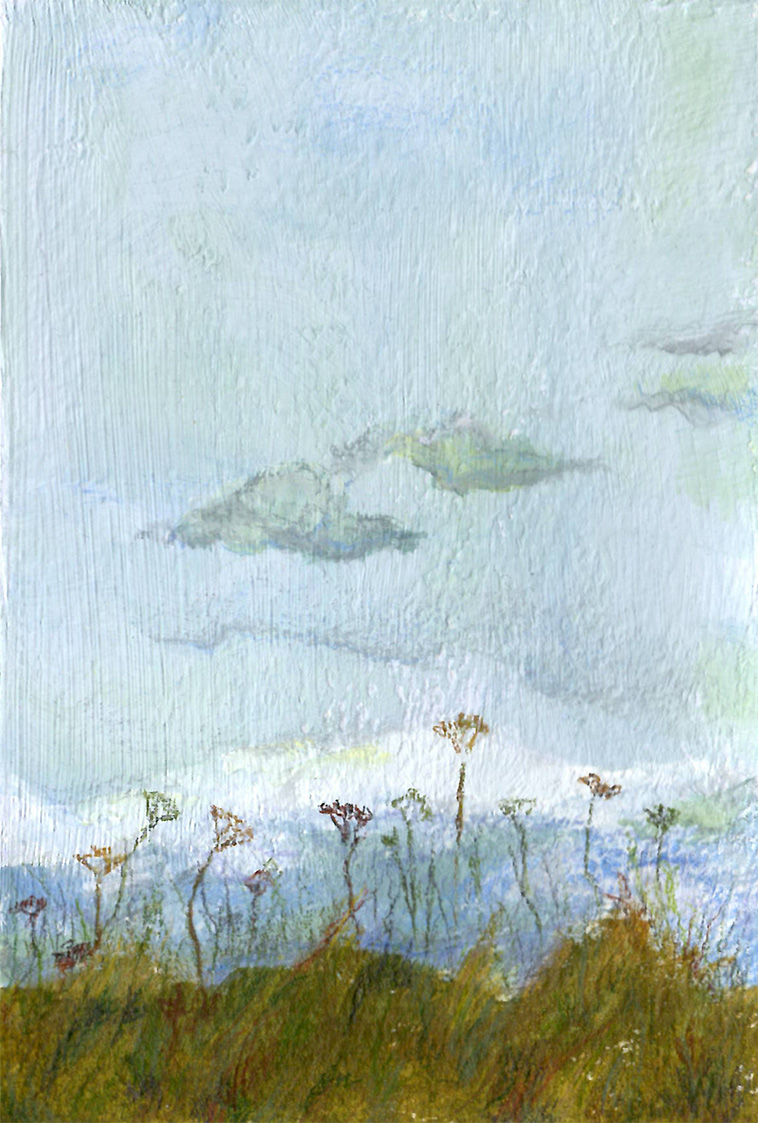 An acrylic and pencil study of wild flowers beneath a cloudy sky.
