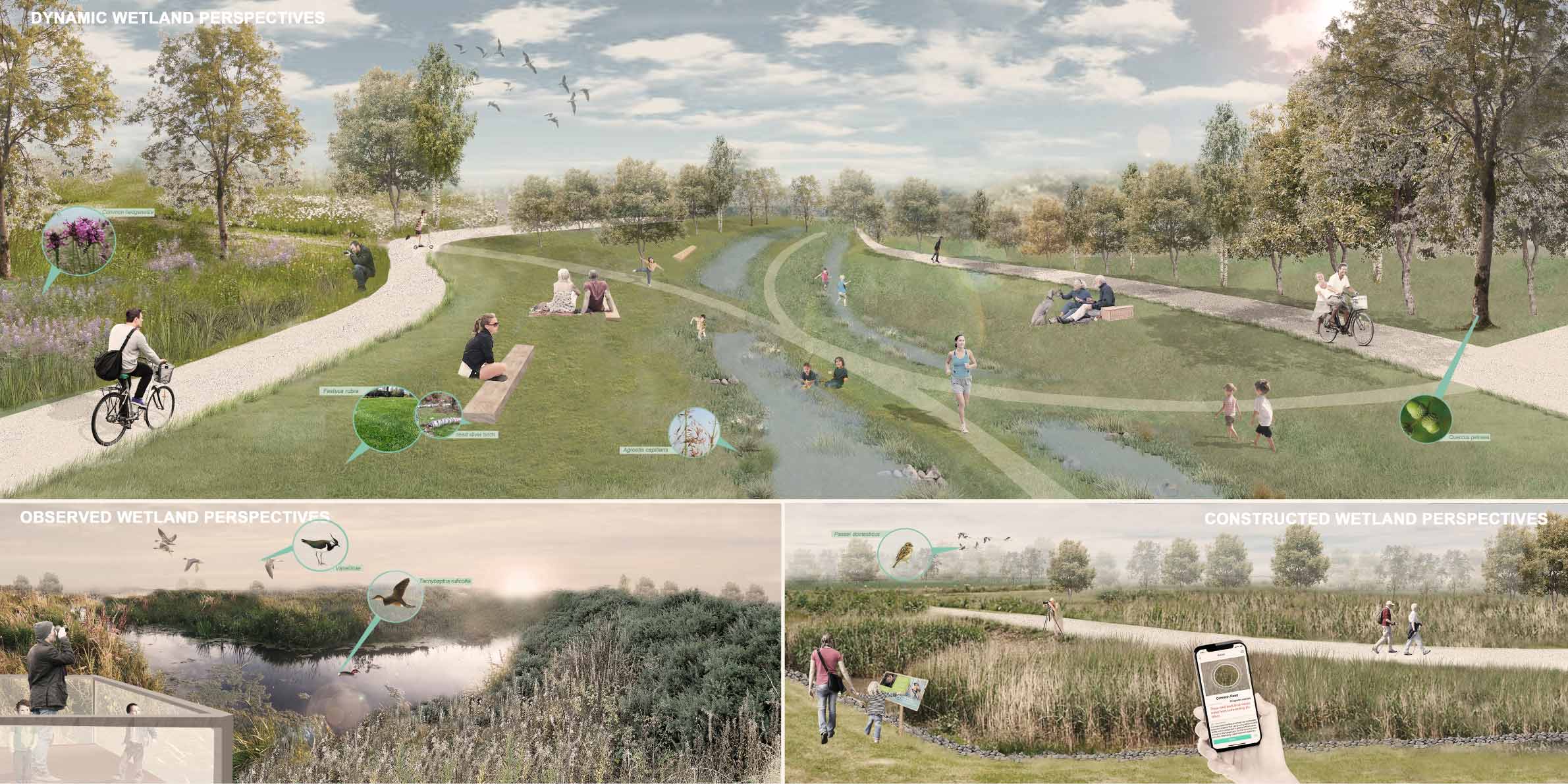 Those are three kind of wetlands in Post-industrial Park