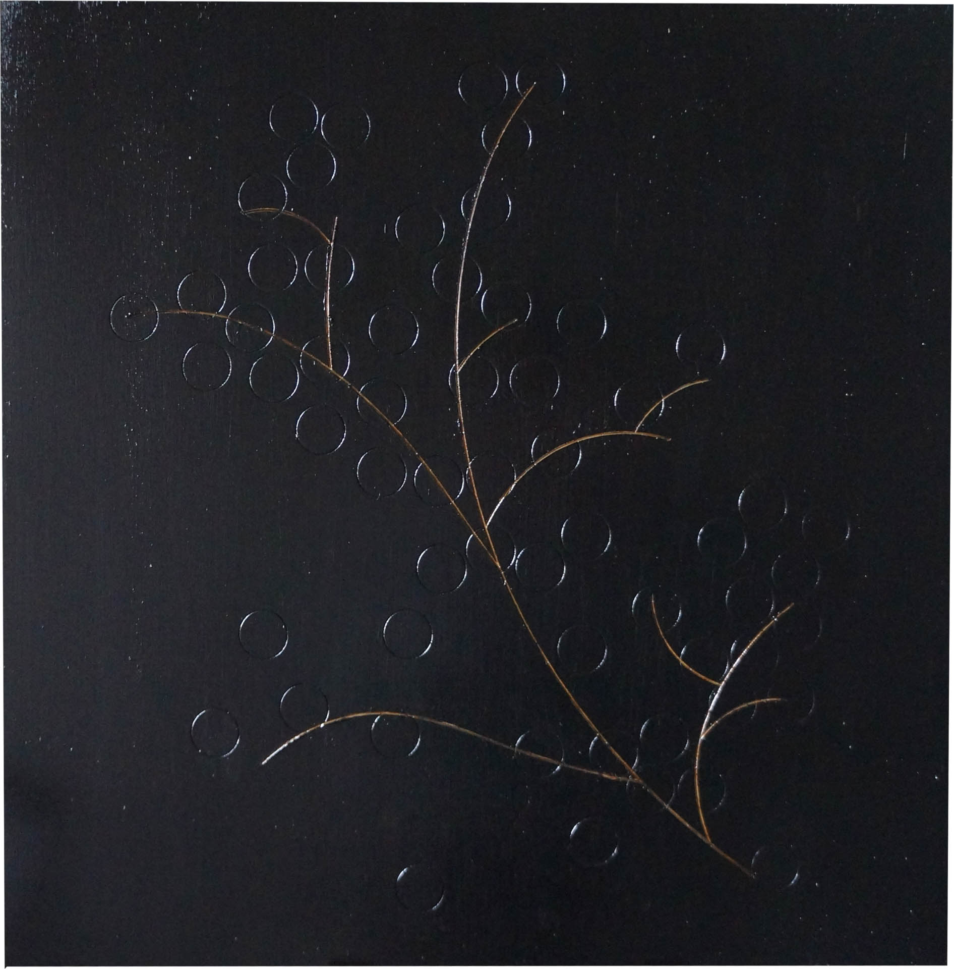 Square black painting with a thin branch carved into the surface. Many small circles are also visible on the surface of the painting, although they are not as definitively carved.