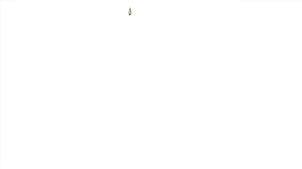 charcoal moving animation of a green drop falling into water and rippling out