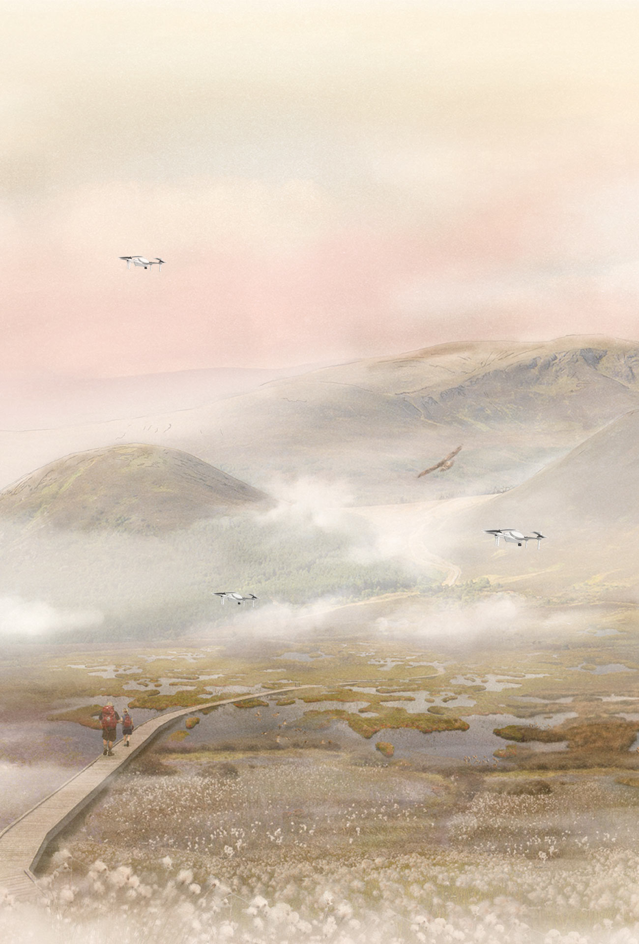 Restoring peatlands. Drones as carbon farmers. 
