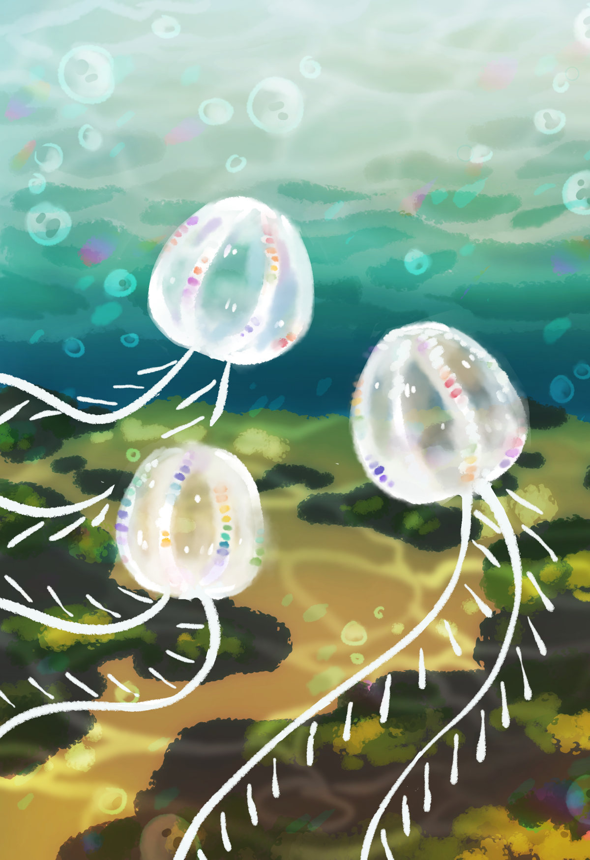 an underwater scene with three sea gooseberries swimming away from the camera