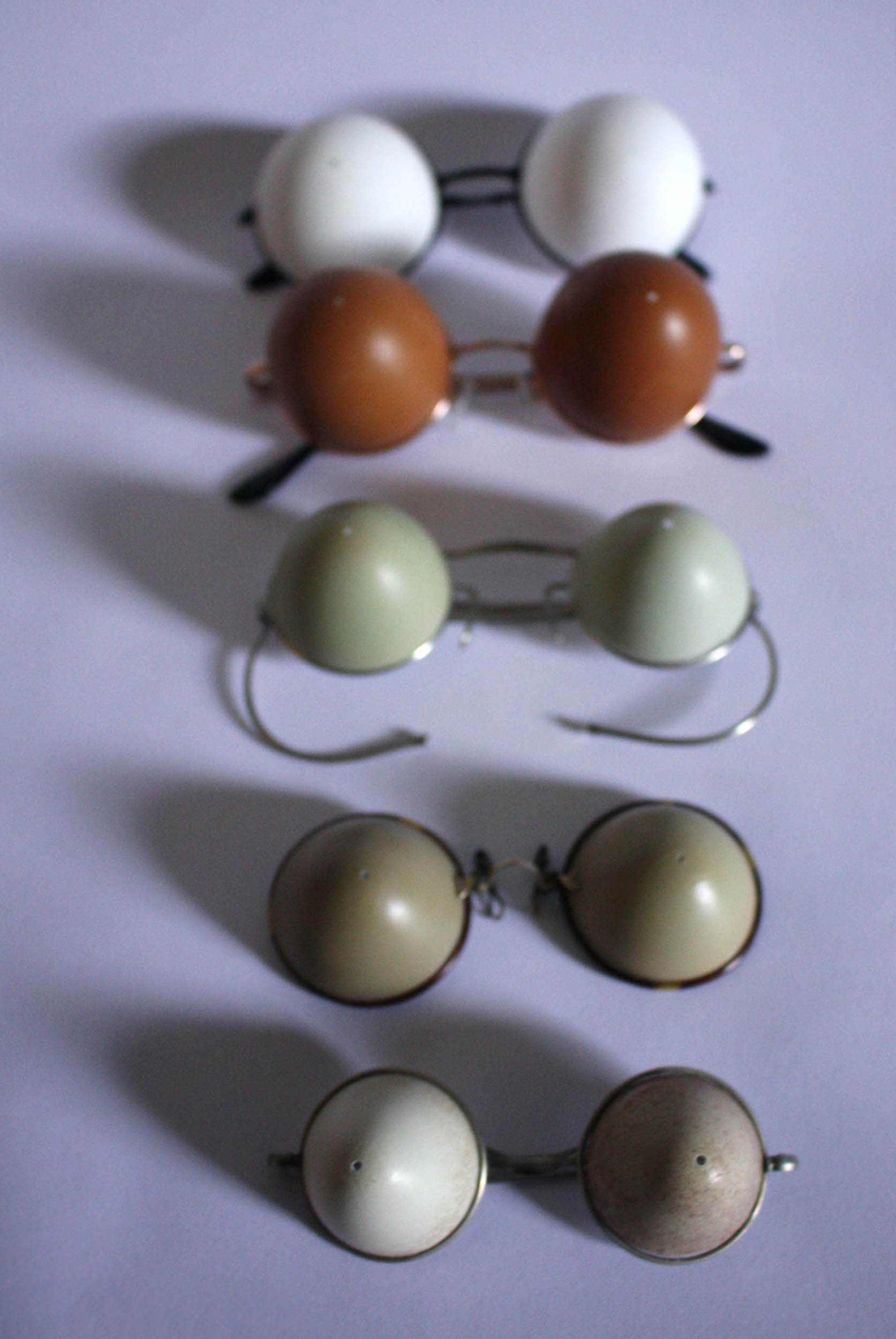 Shell Specs: Assorted Eggs and Found Frames