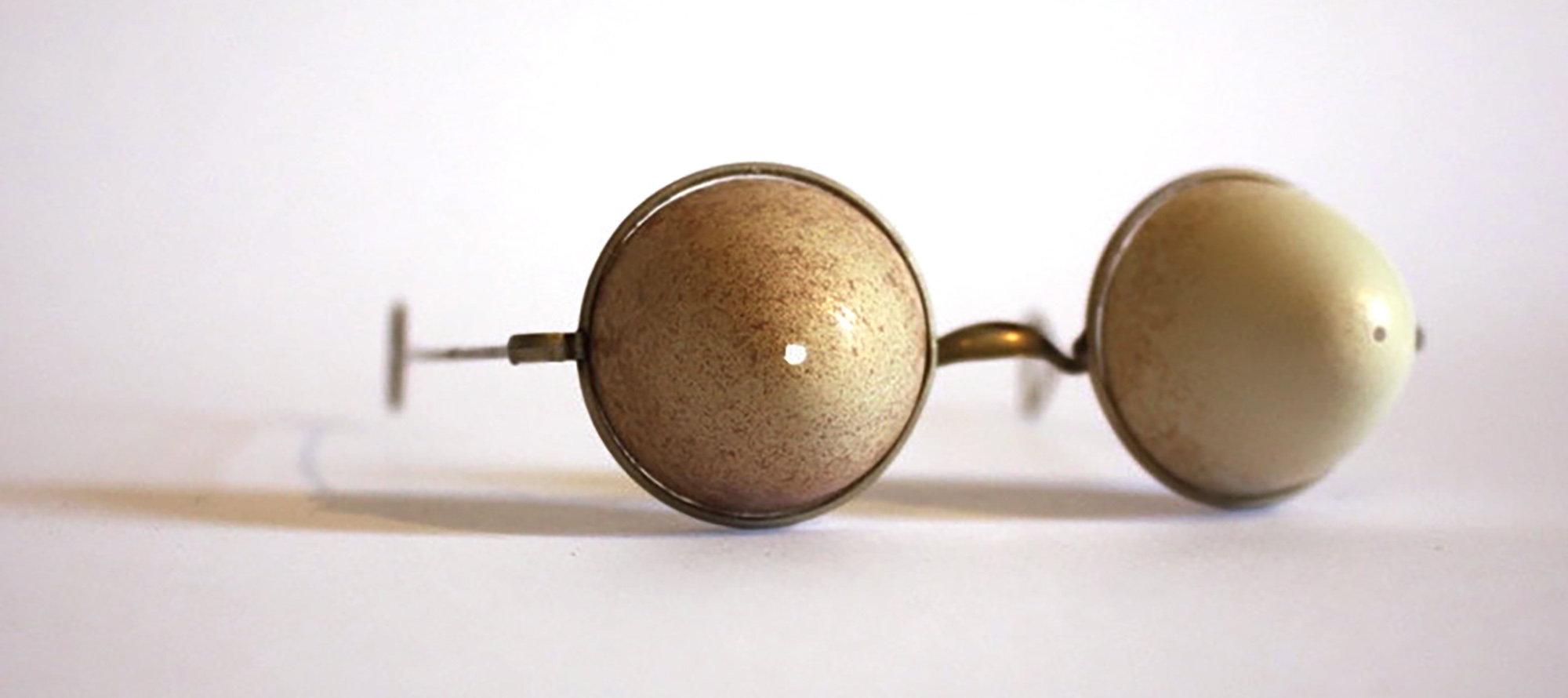 Shell Specs: Partridge Eggs (Front) and Found Antique Frames