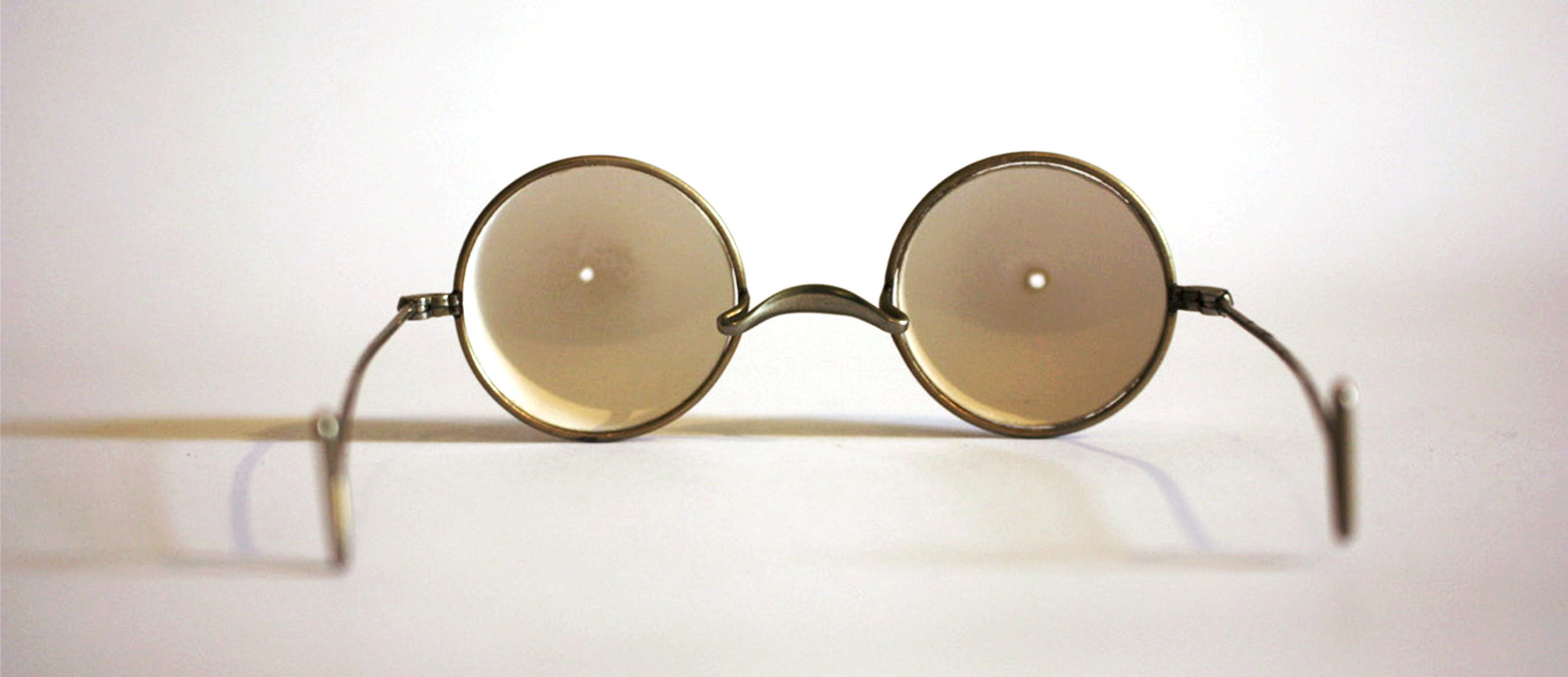 Shell Specs: Partridge Eggs (Back) and Found Antique Frames