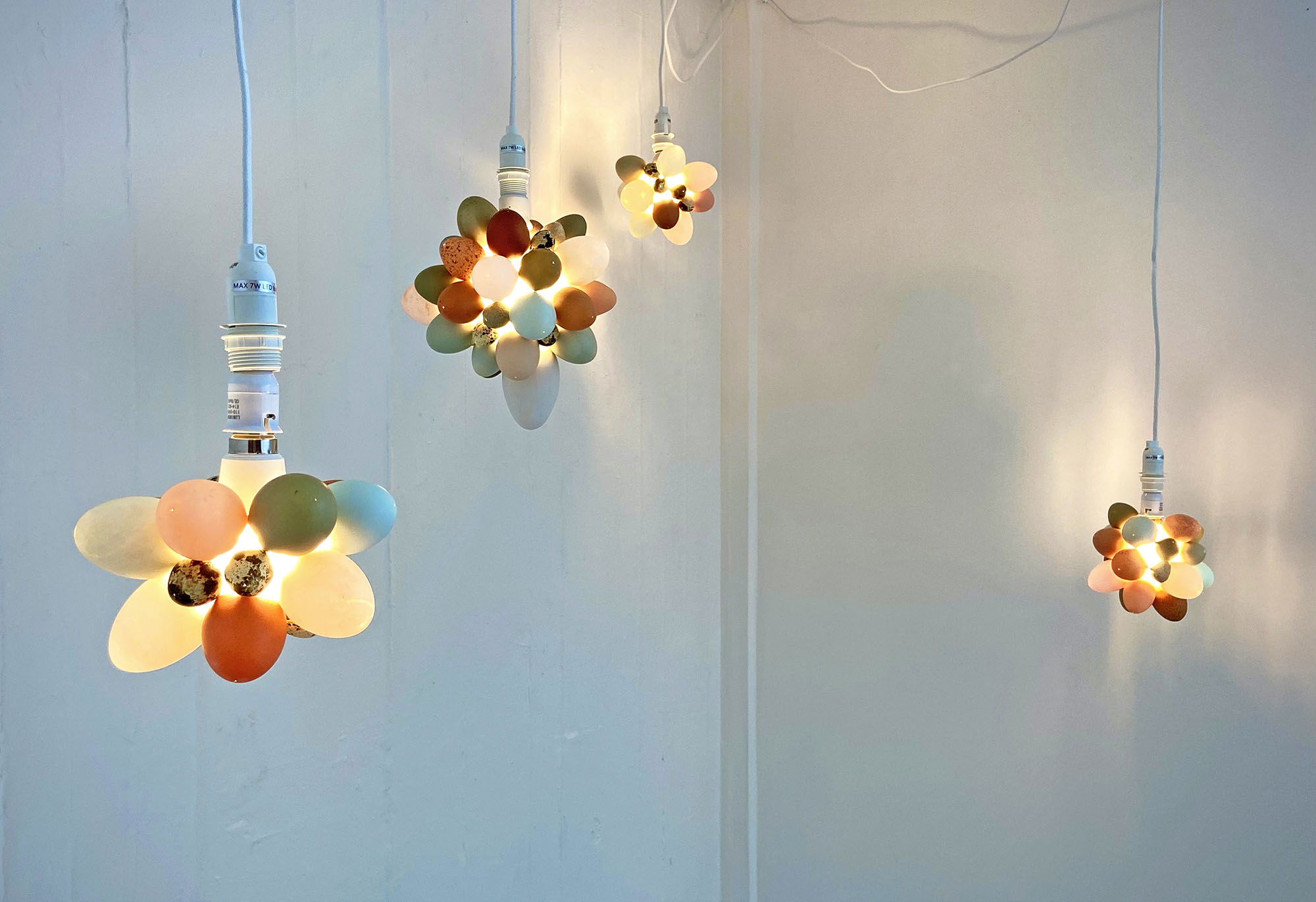 4 suspended Illuminated Eggshell clusters