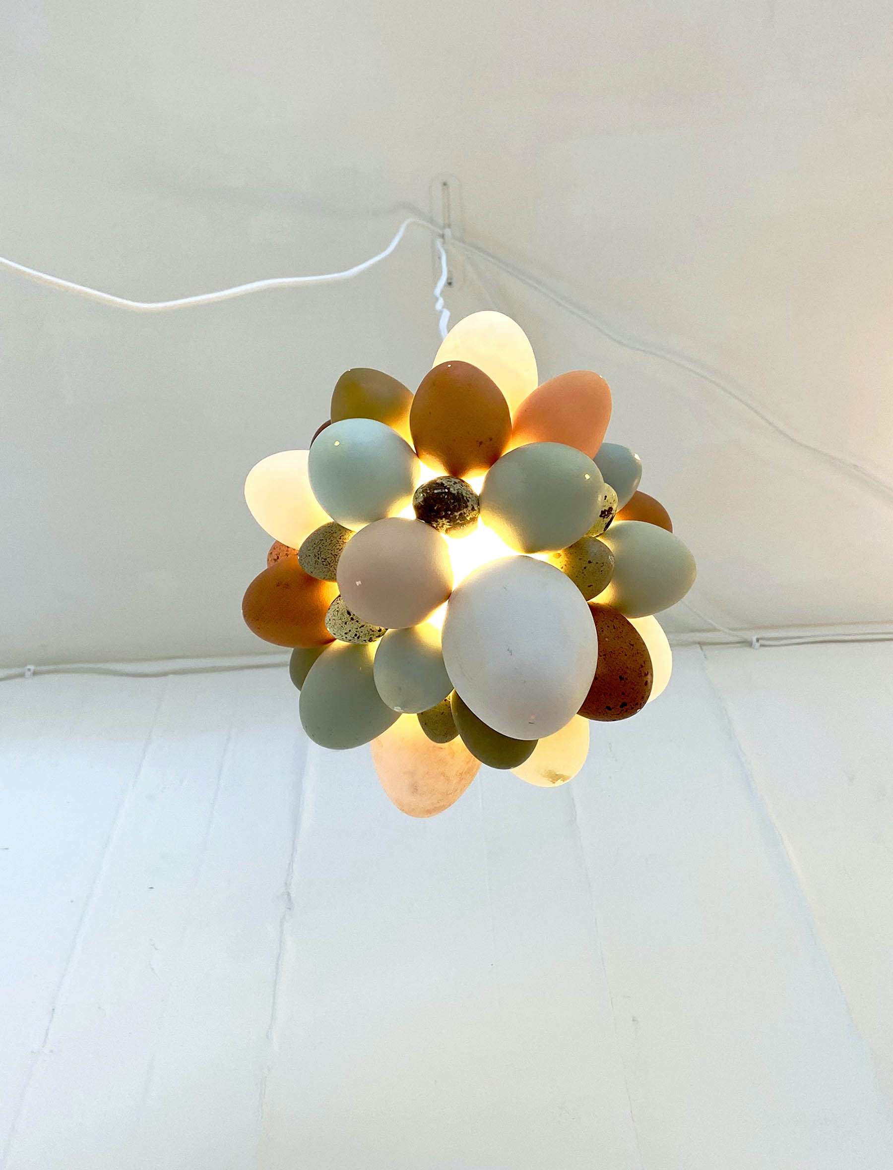 Close-up Illuminated Egg Shell Cluster