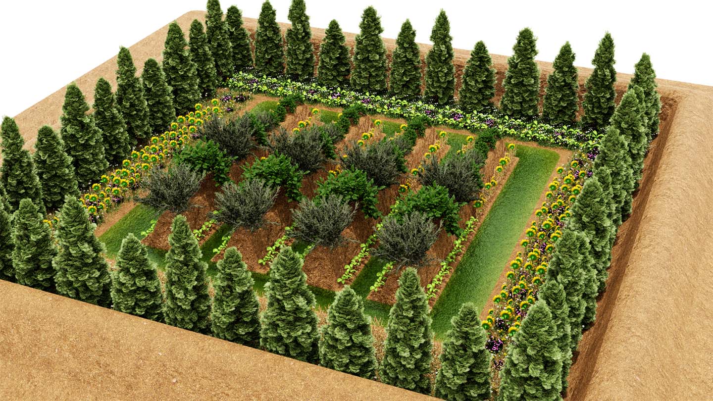 The permaculture system