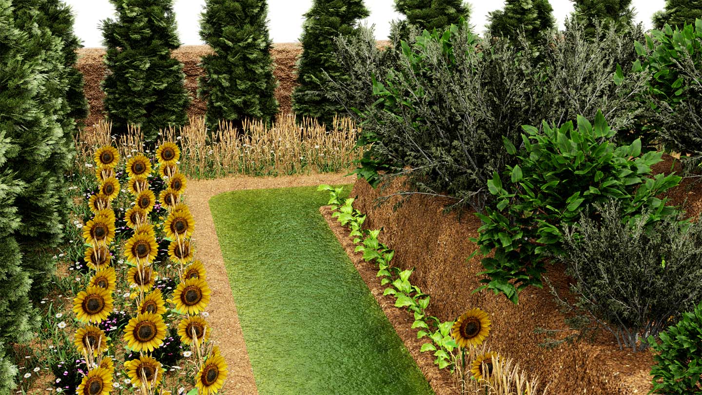 Inside the permaculture system