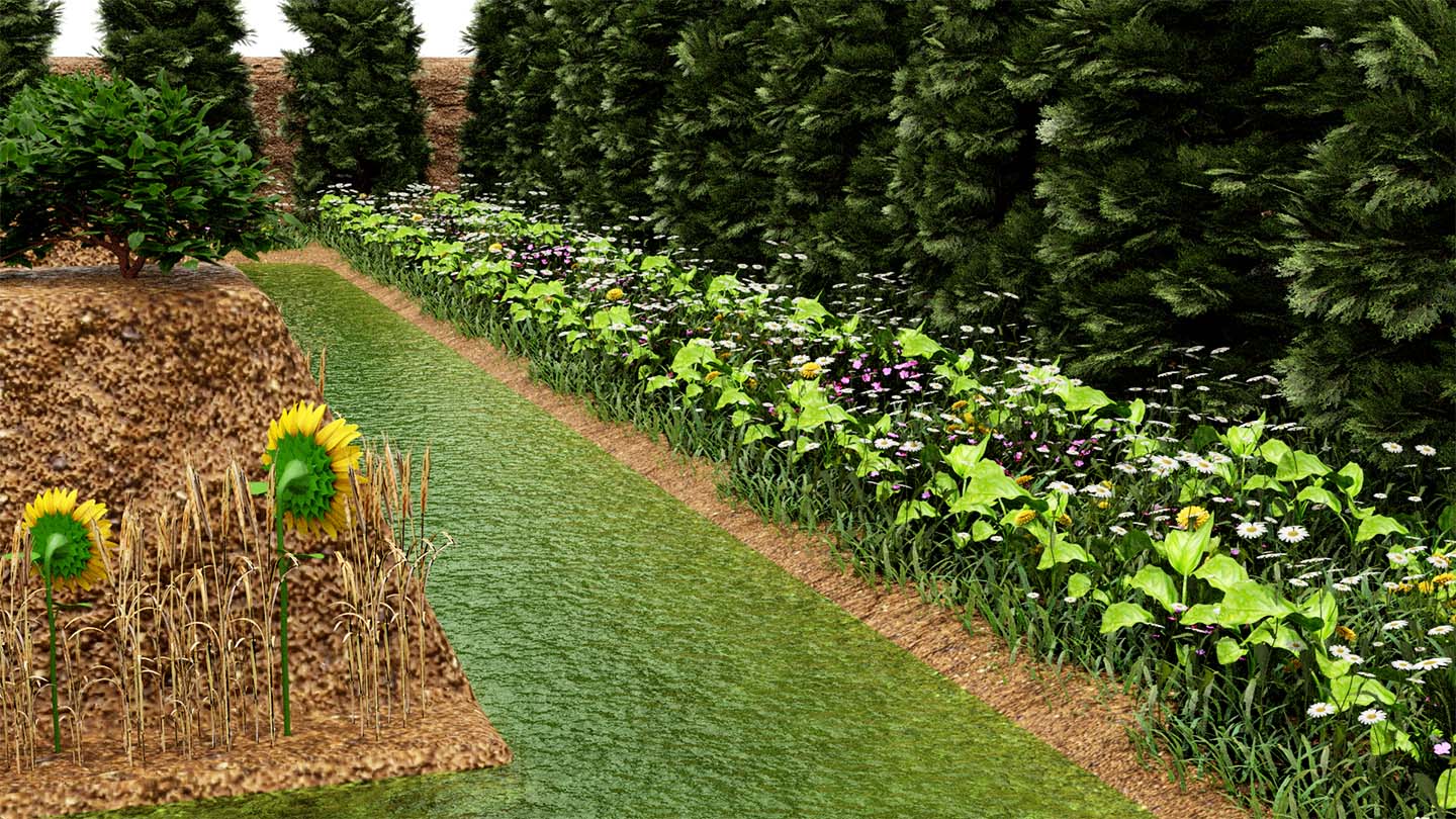 Inside the permaculture system